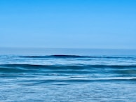 Panoramic view of azure ocean with calm waves and clear sky.