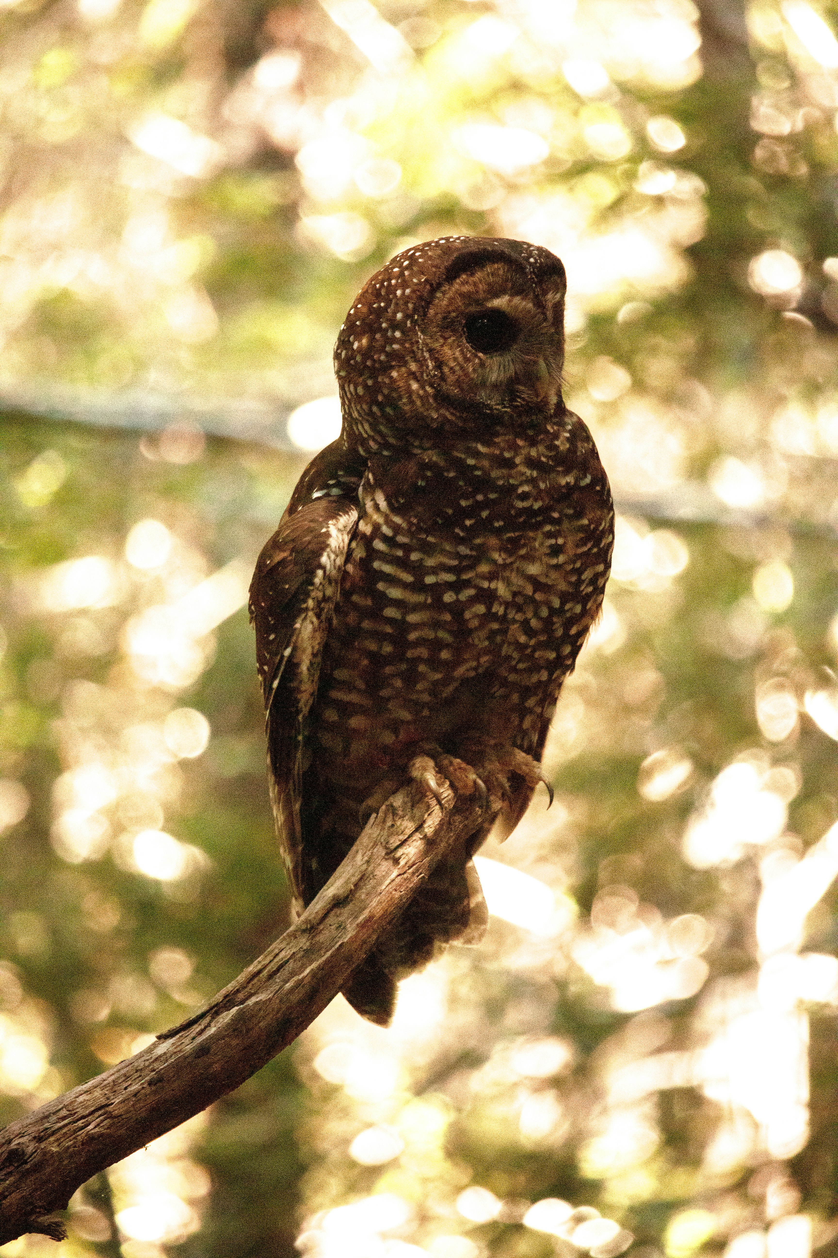 Photo by sounds_wild