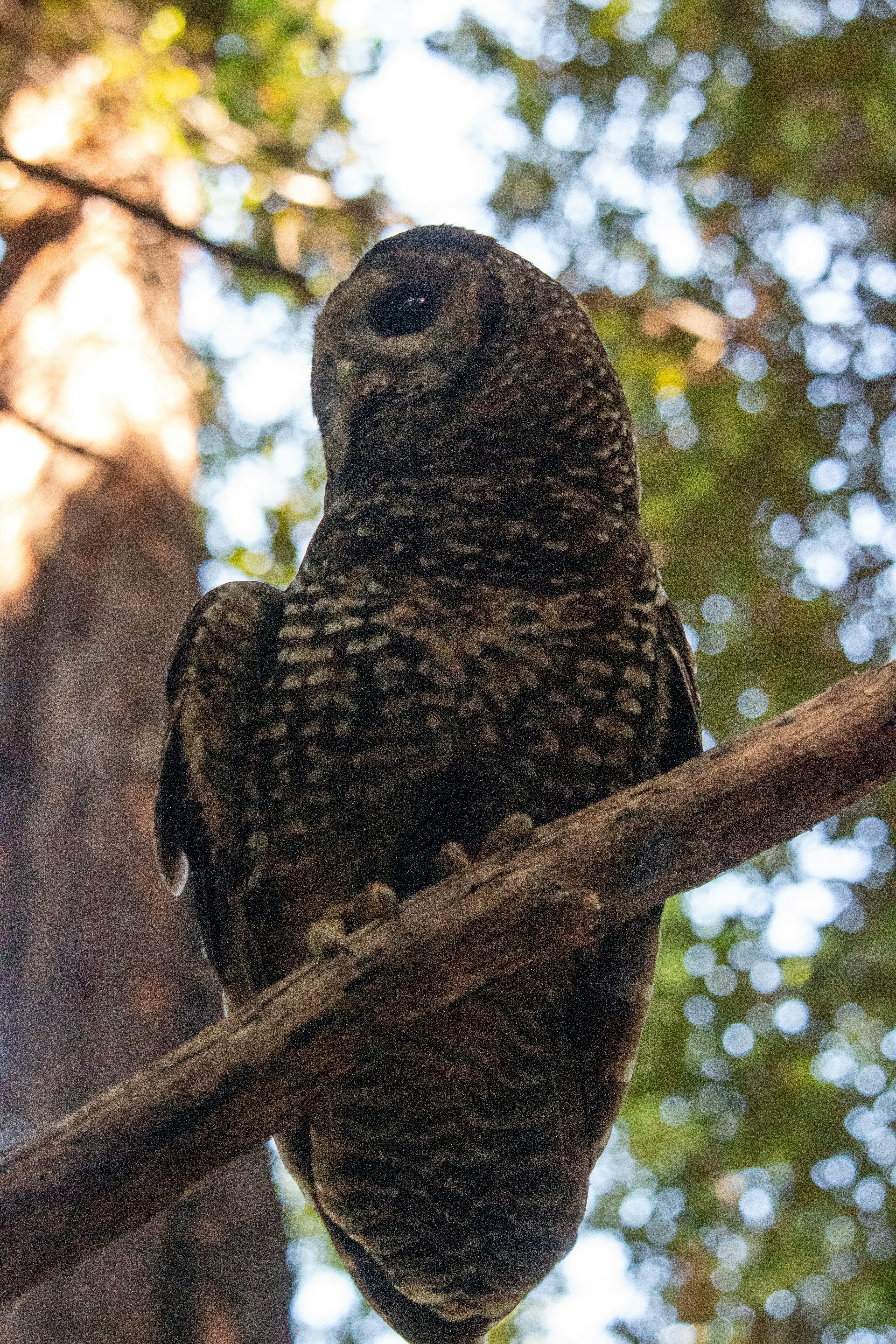 Photo by sounds_wild