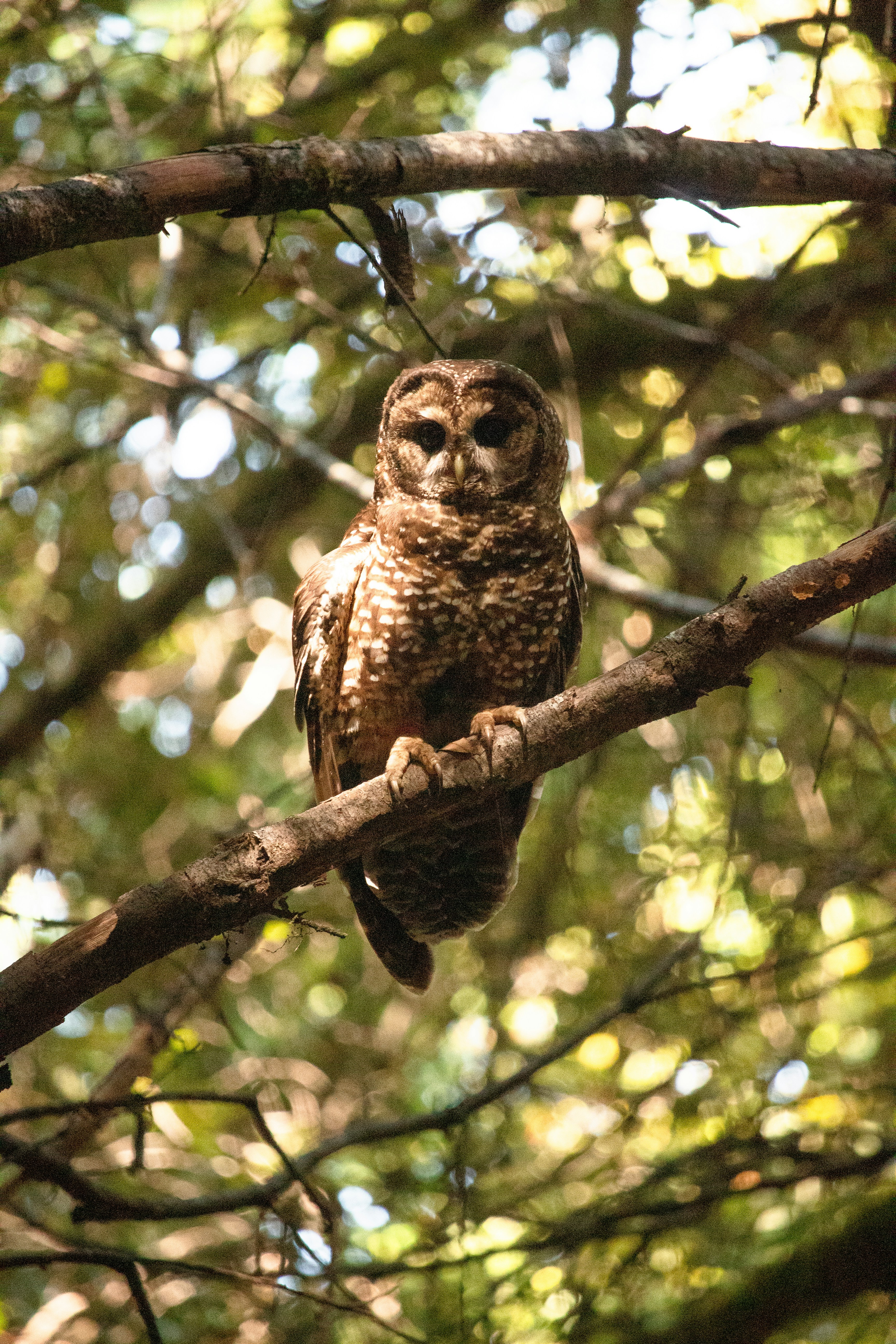 Photo by sounds_wild