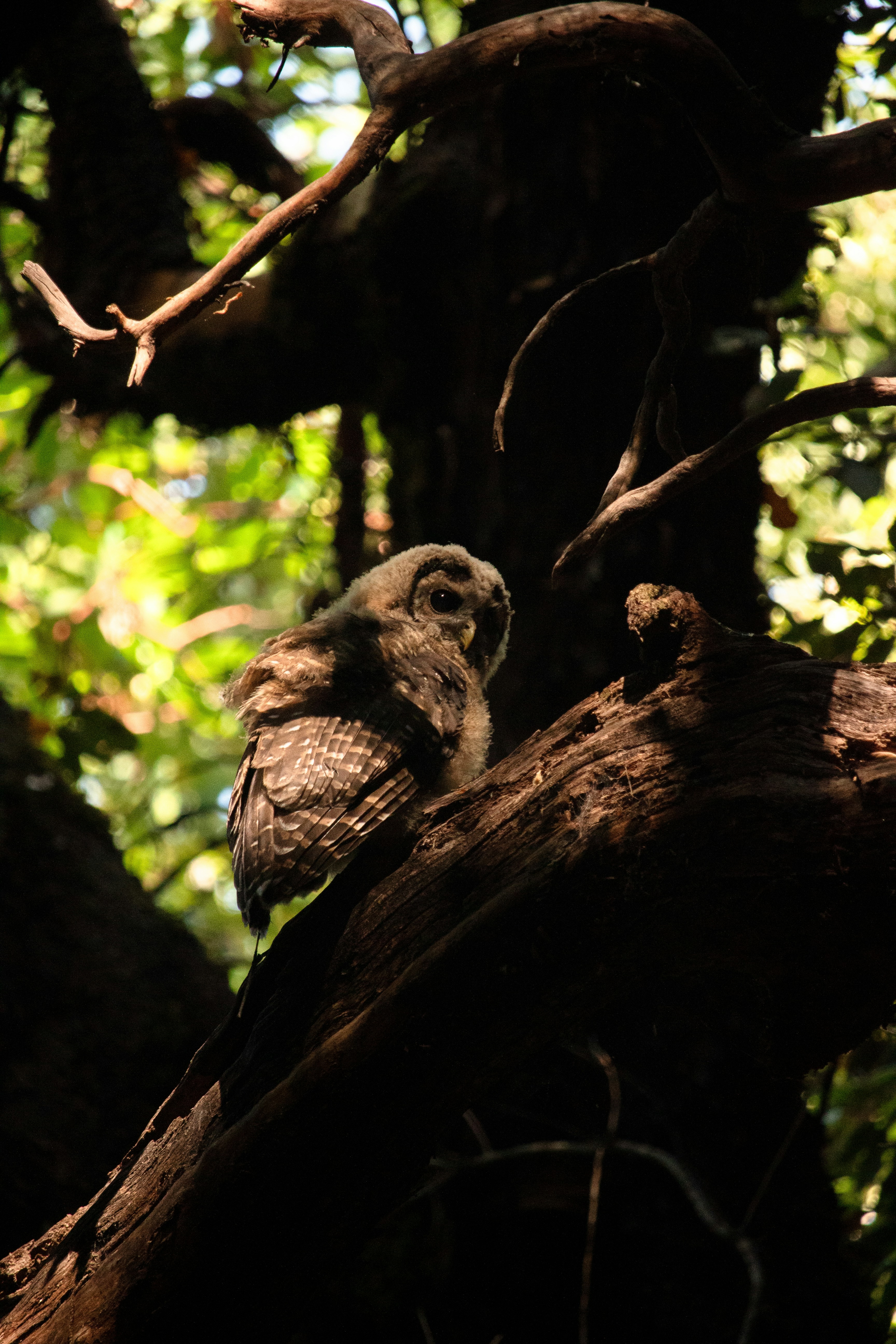 Photo by sounds_wild