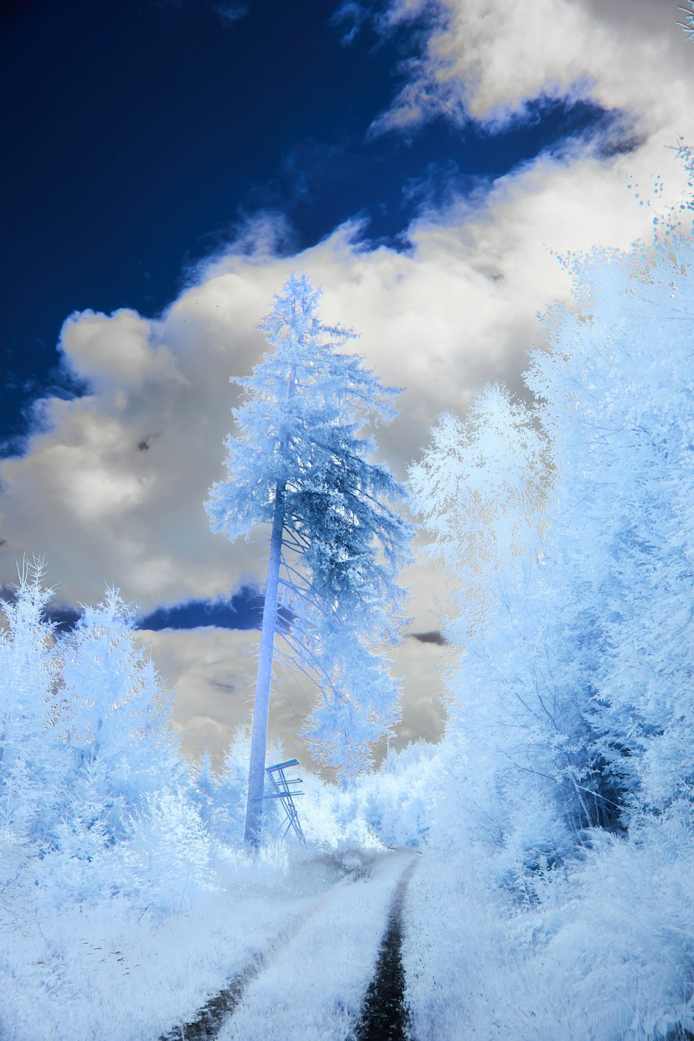 a digital painting of trees and clouds in a blue sky