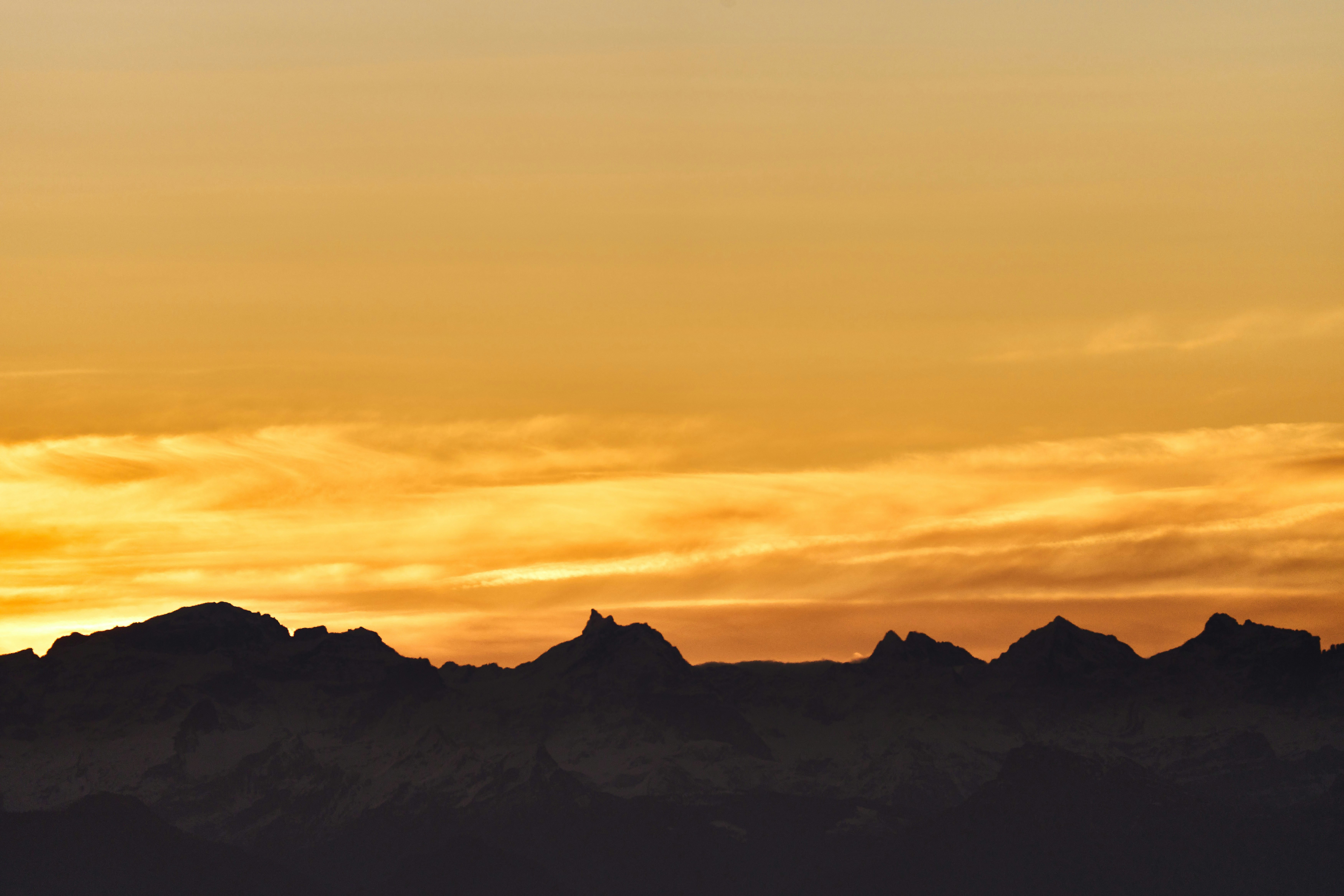 Photo by wolfgang_hasselmann