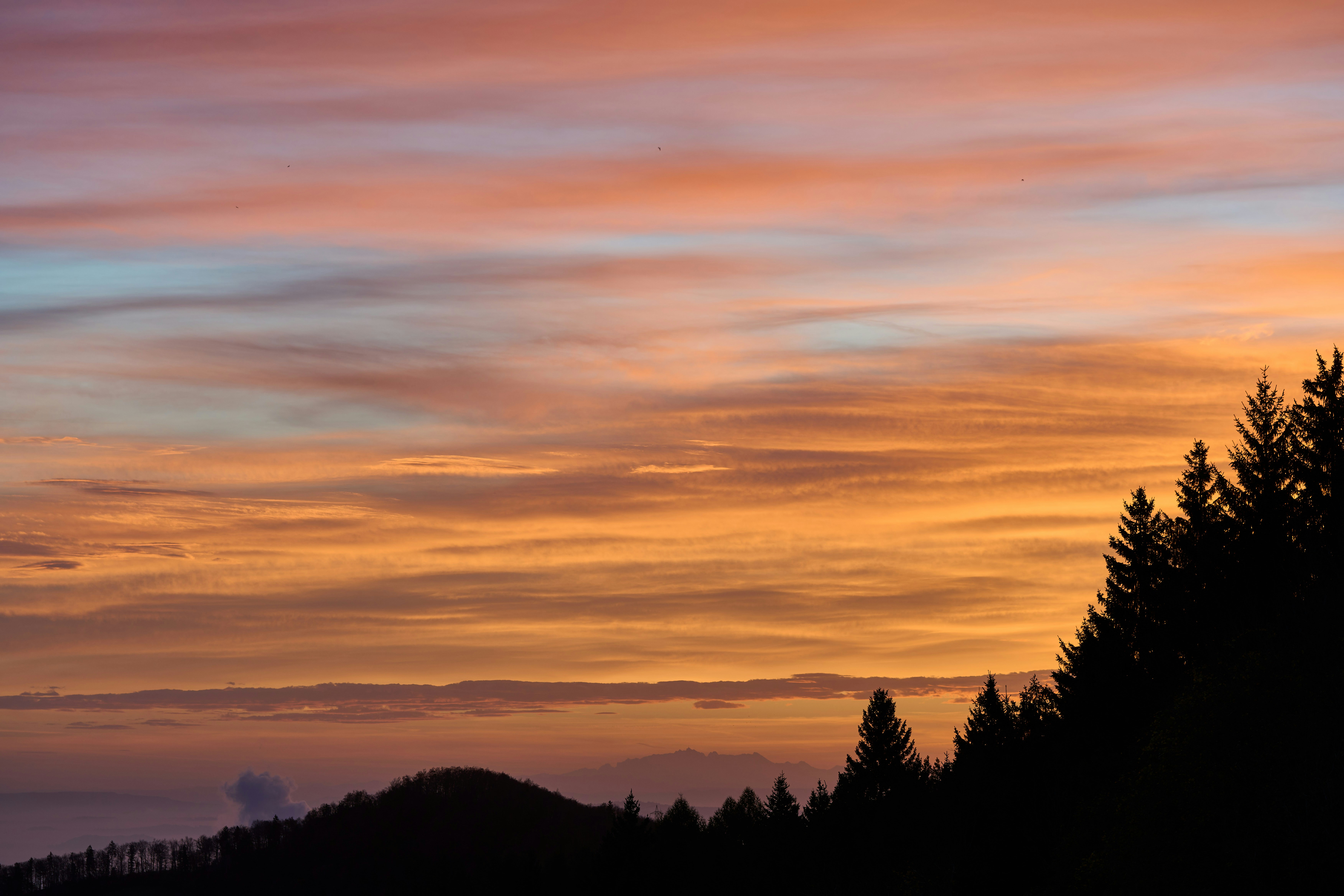 Photo by wolfgang_hasselmann