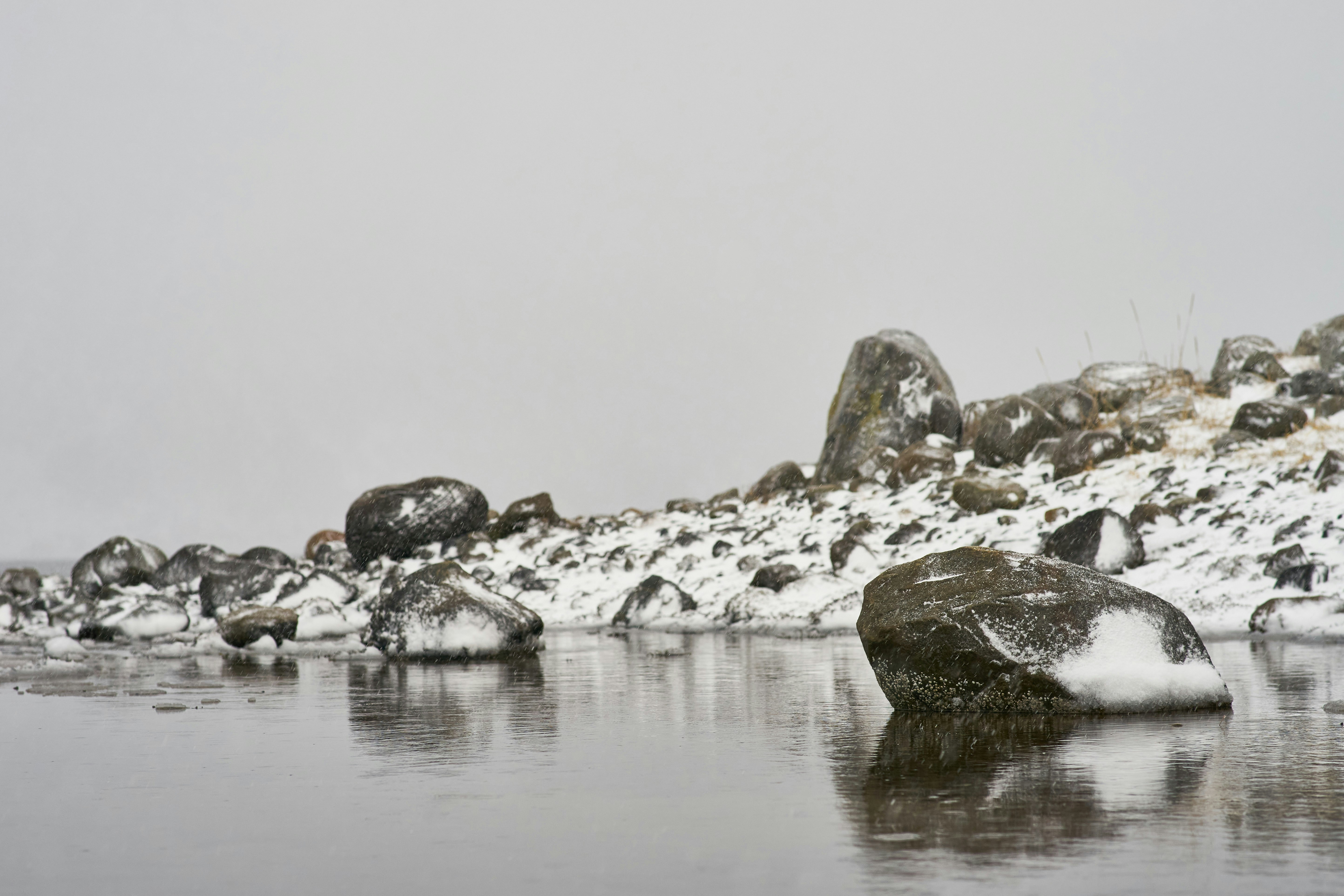 Photo by wolfgang_hasselmann