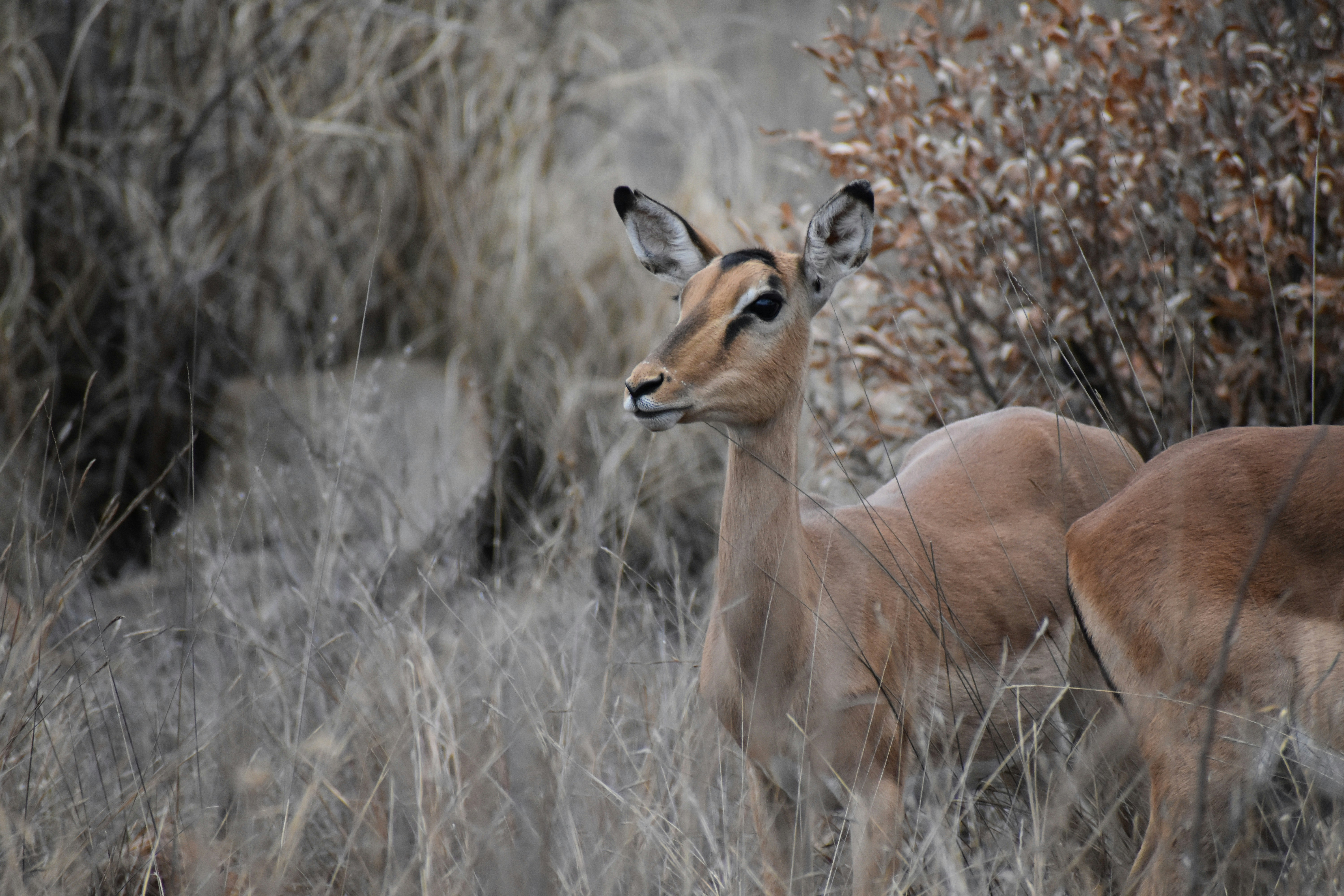 Photo by capturedmemory