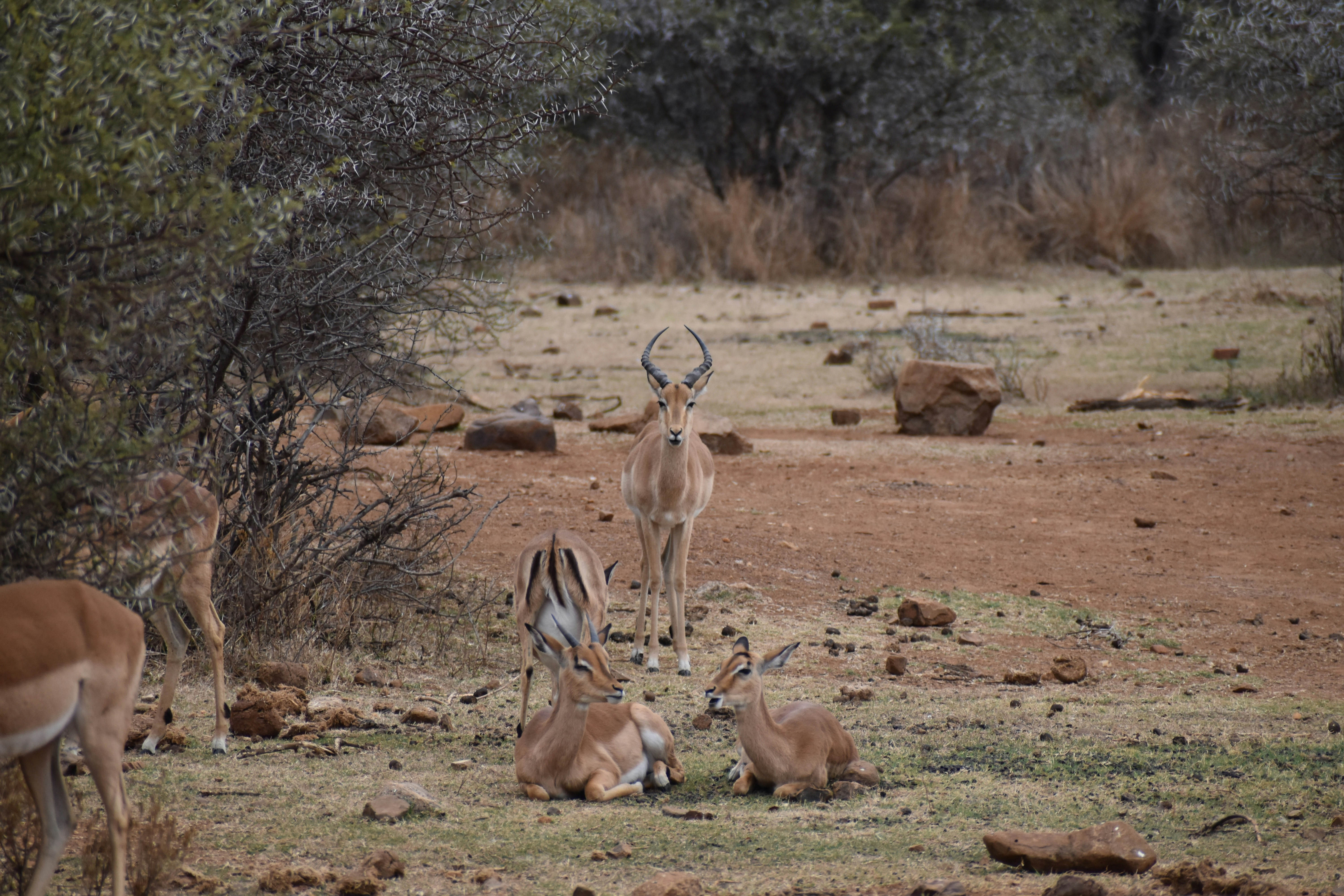 Photo by capturedmemory