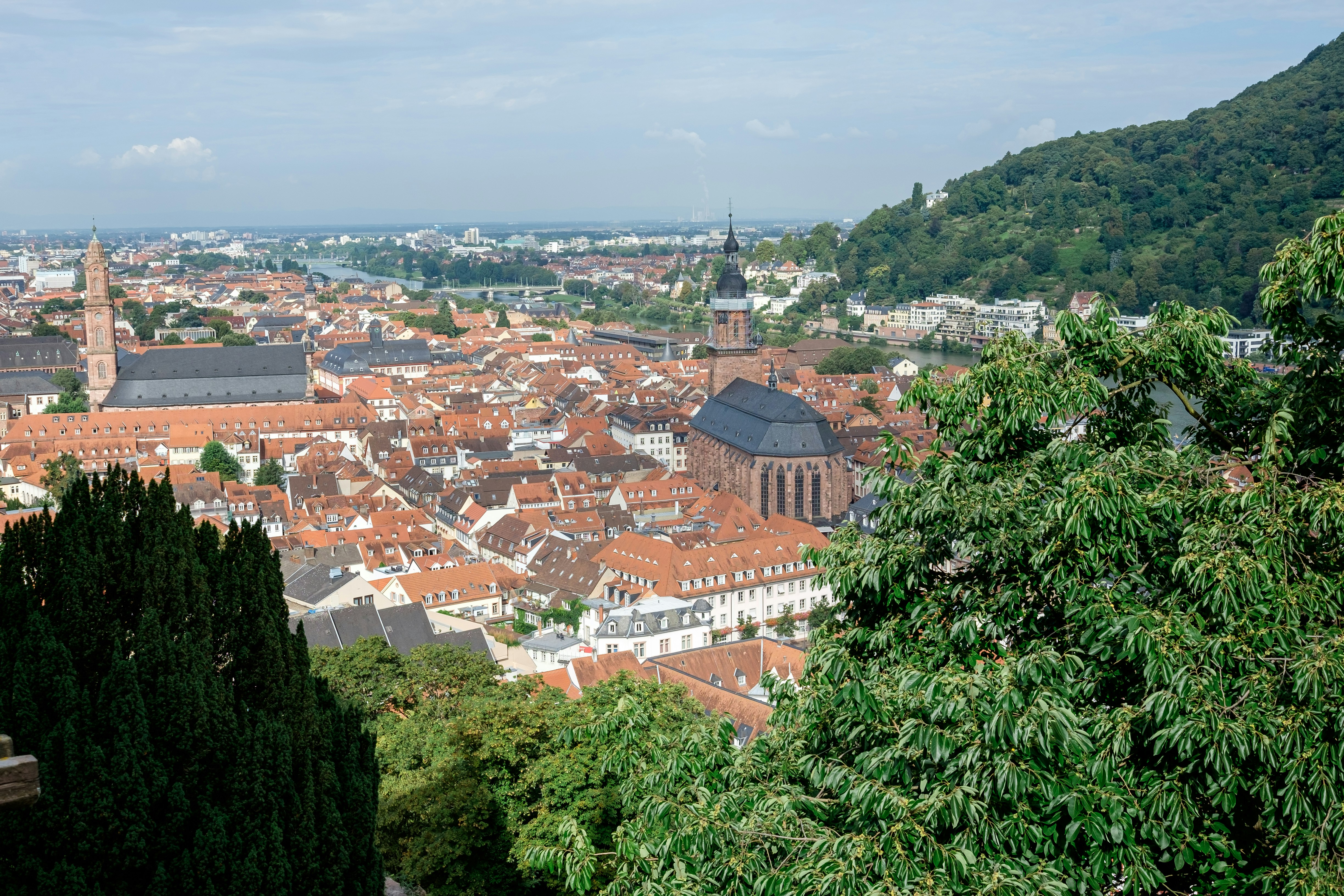 Photo by mayumimaciel