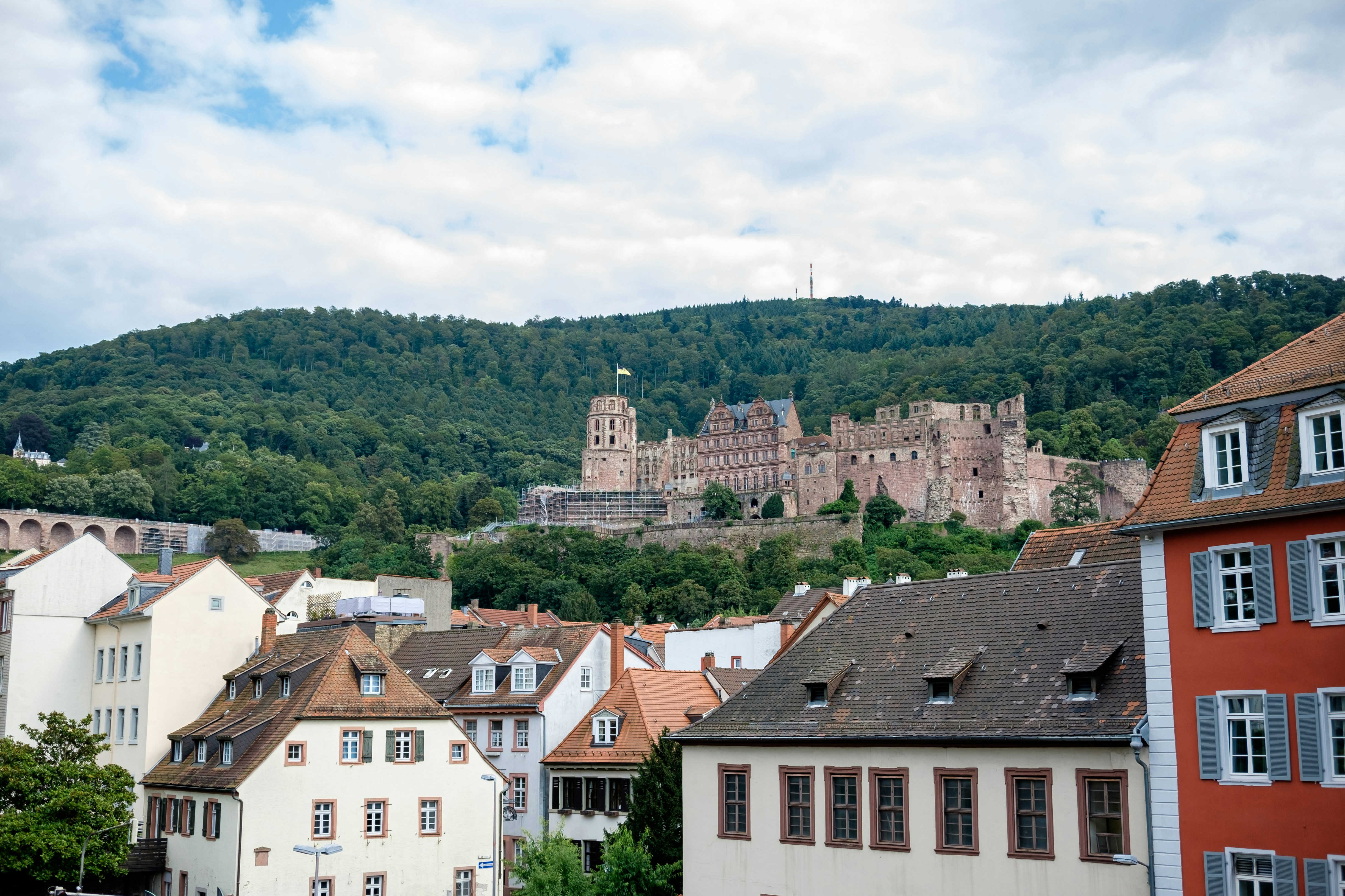 Photo by mayumimaciel