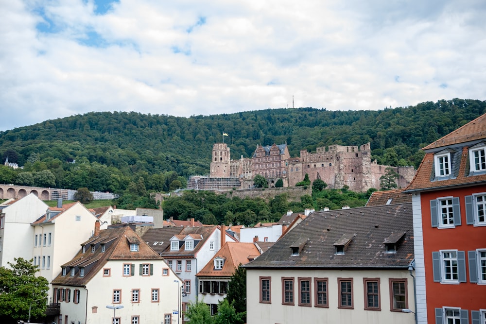 Blick auf eine Stadt mit einer Burg im Hintergrund