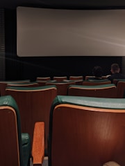 Audience enjoying an indie film screening in a cozy theater.