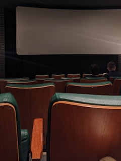 A dimly lit movie theater with green and wooden seats. The theater screen is blank, and only a few people are sitting towards the front, creating a secluded and quiet atmosphere.