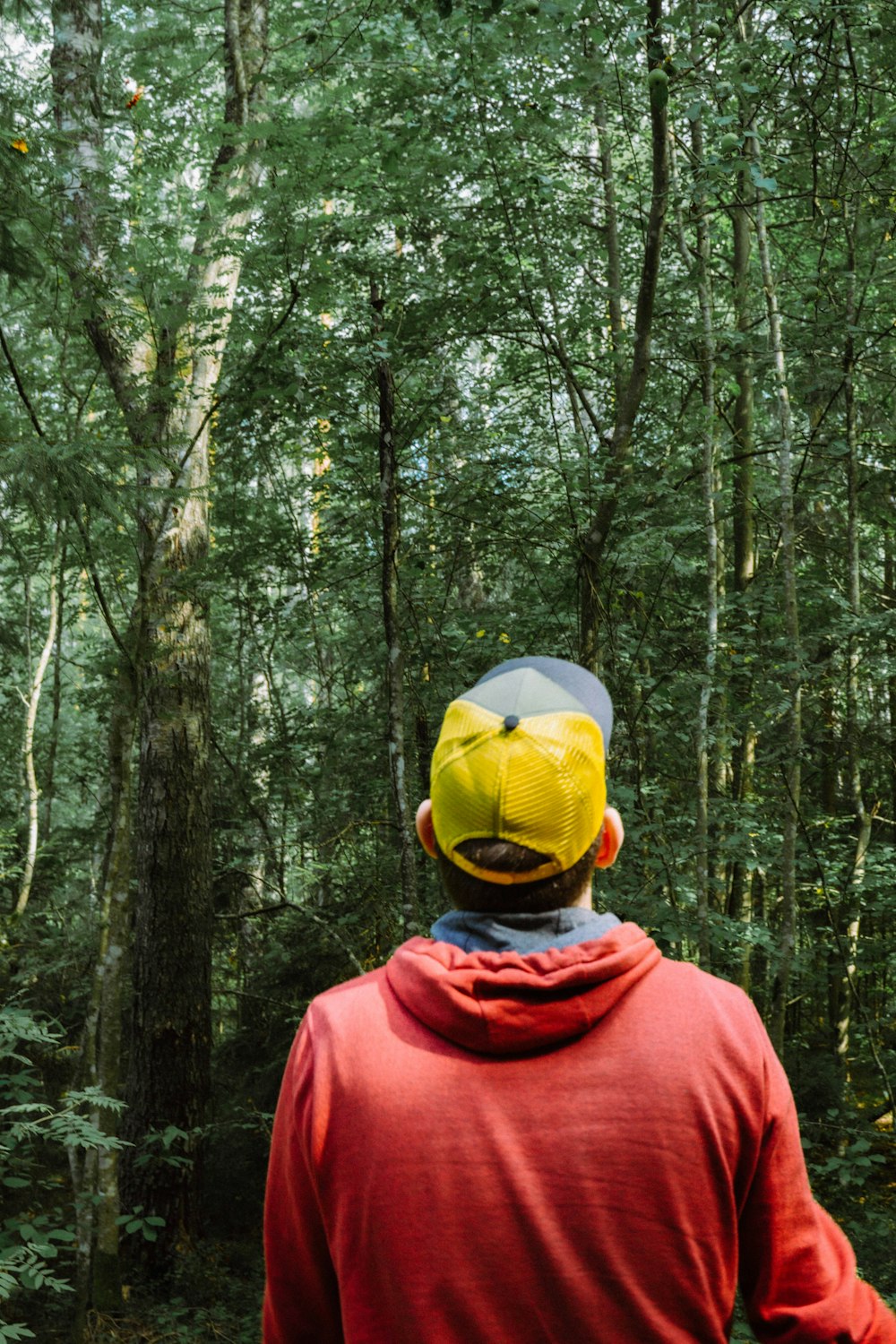 a man in a red jacket and a yellow hat in the woods