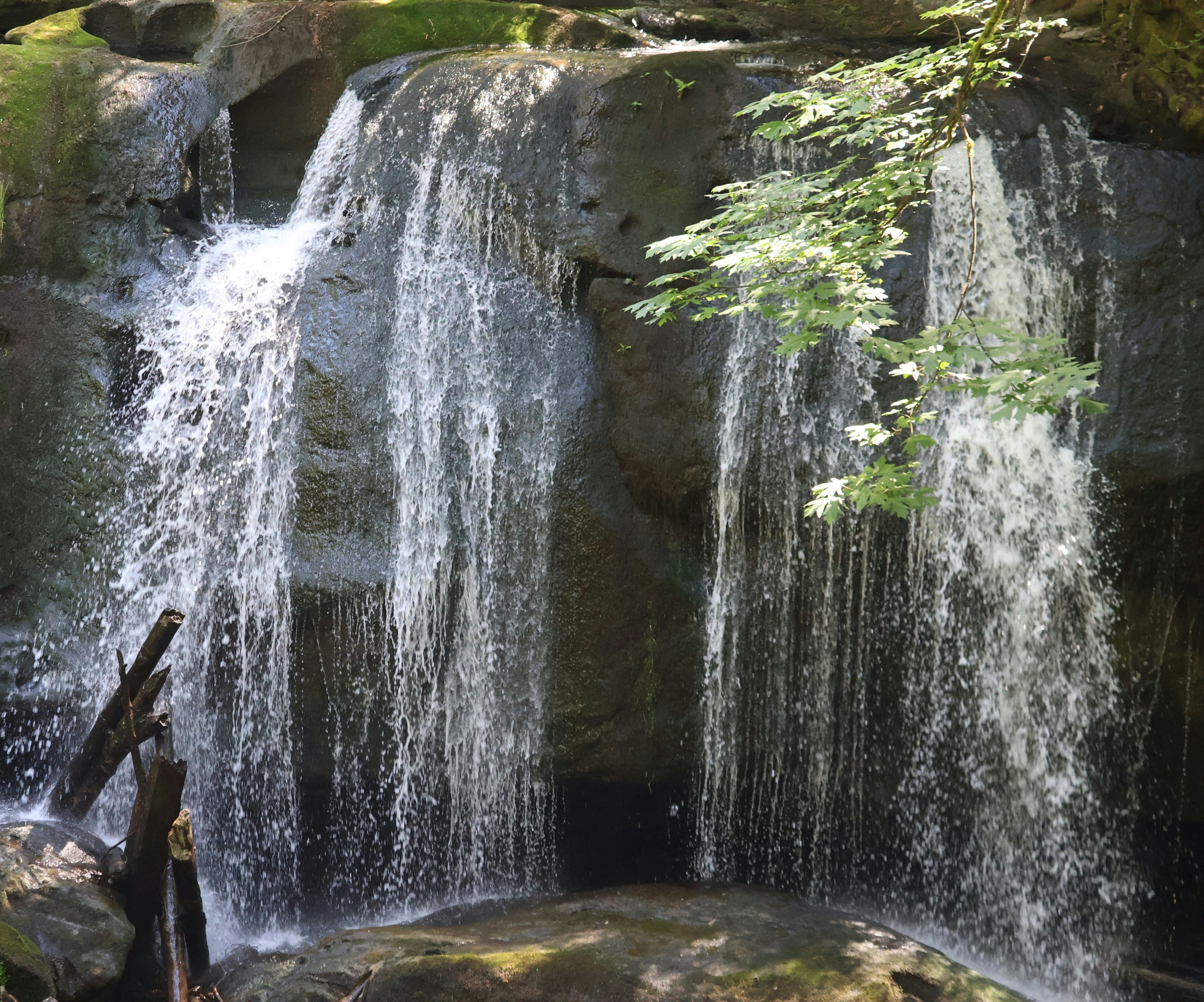 Photo by rozleblanc38