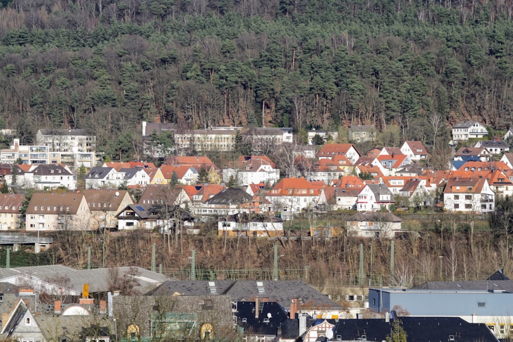 a city with lots of houses and trees in the background