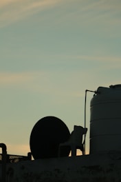 A silhouette of a rooftop setup depicting a large satellite dish, a plastic chair, and a water tank against a sunset sky. The sky has hues of orange and yellow, transitioning into light blue as it stretches upward.