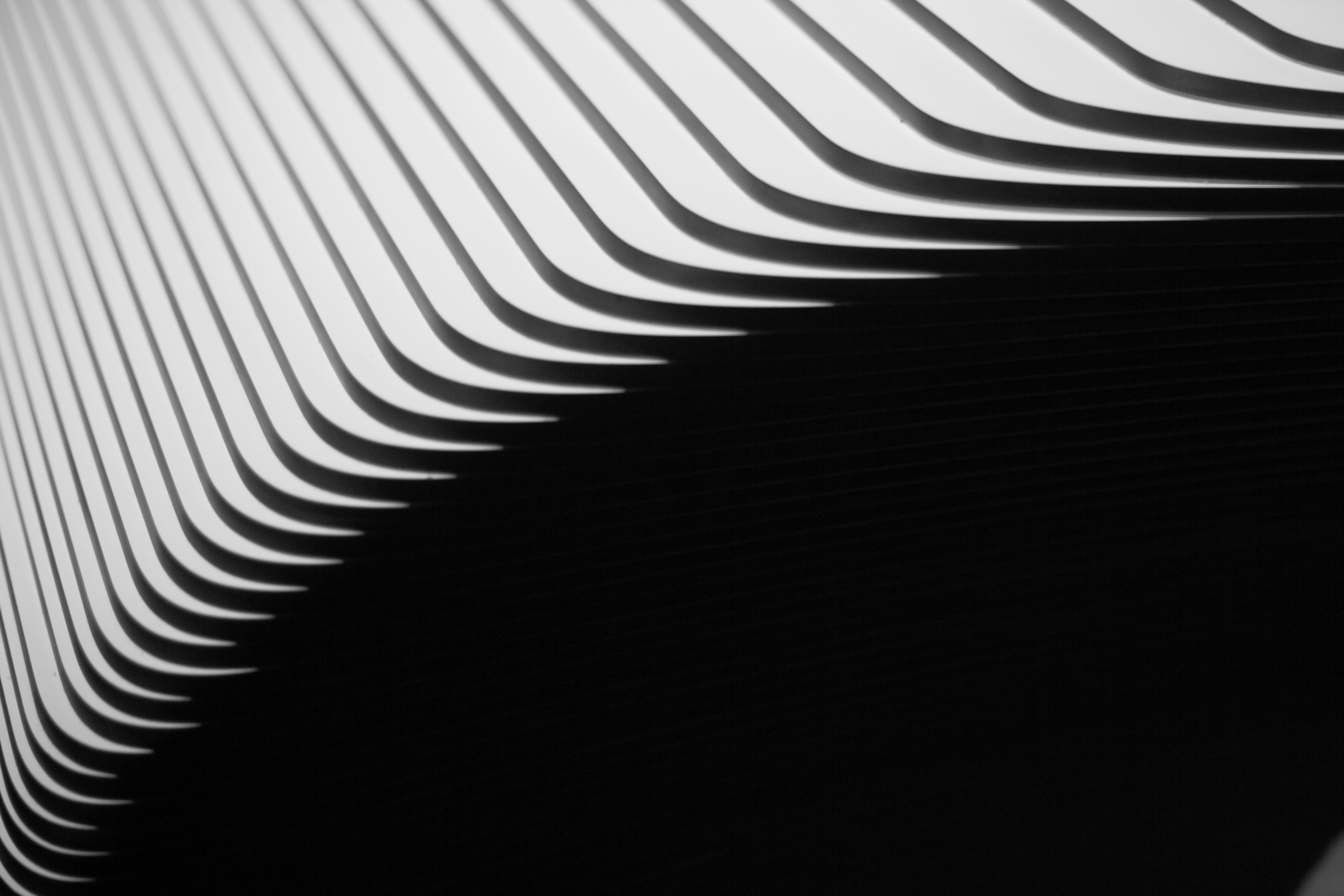 Photo by plasticlines