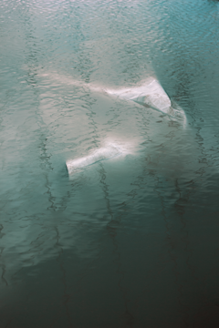 Plastic debris floating on the surface of the water with visible ripples, likely to be seen in an aquatic environment.