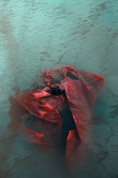 A red plastic bag is floating in murky water, partially submerged and surrounded by subtle ripples, creating an impression of pollution and neglect.