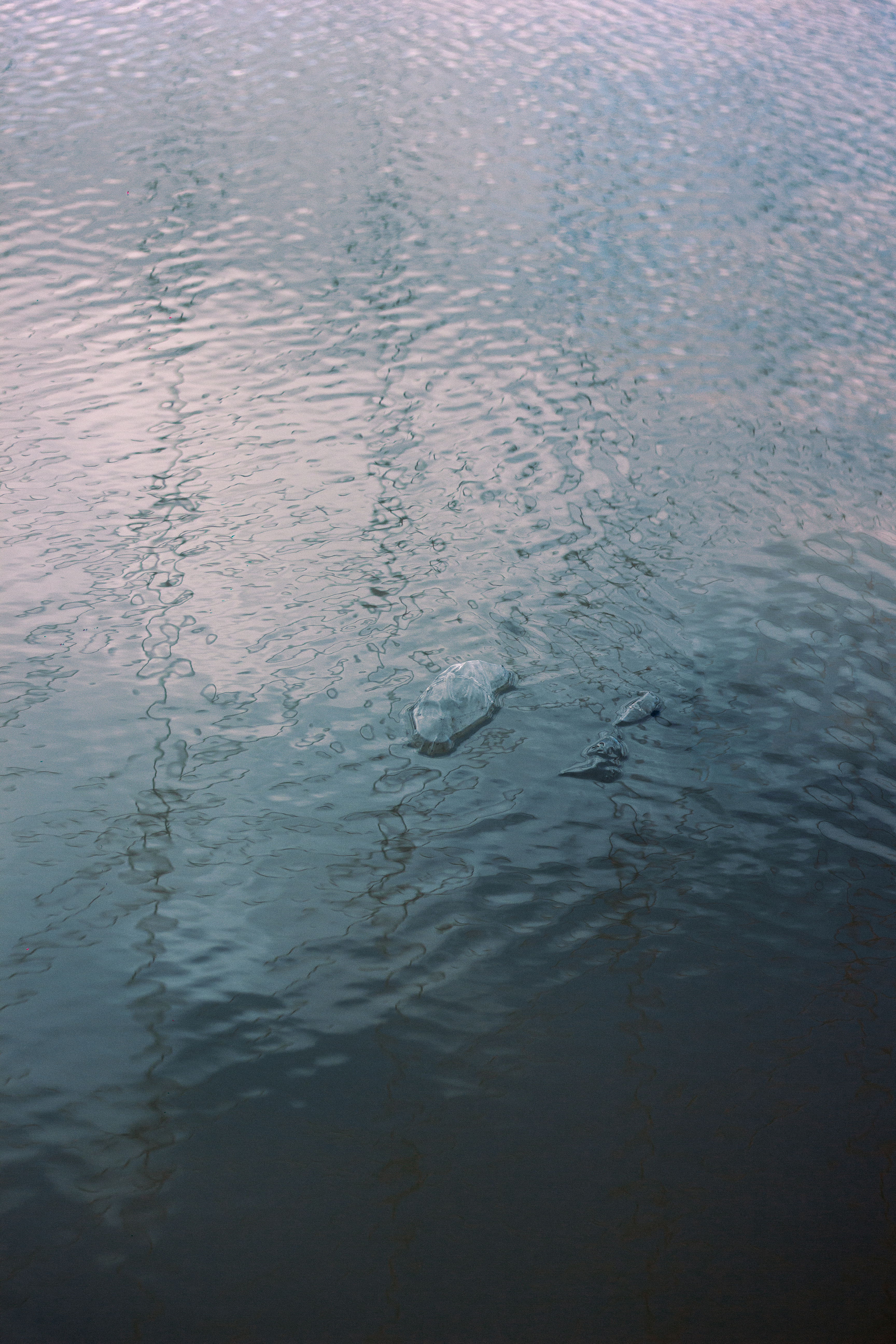 Photo by plasticlines