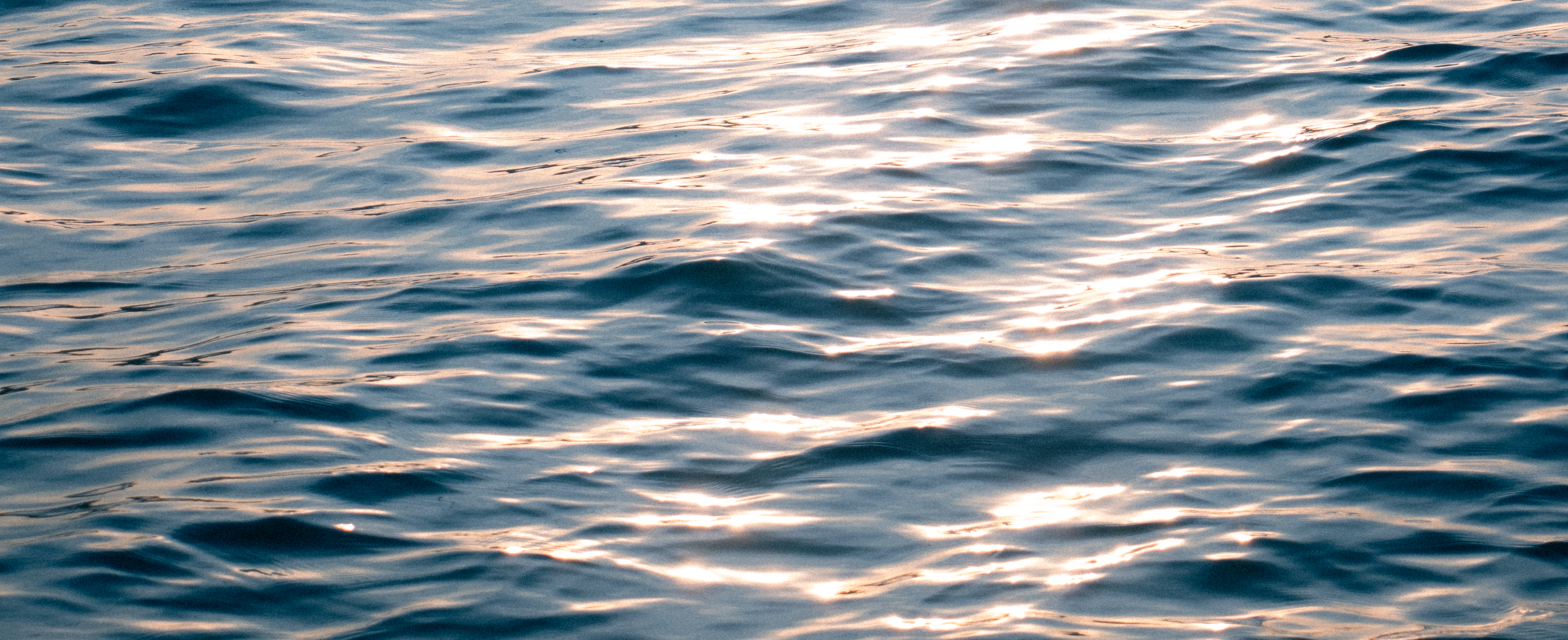 Photo by plasticlines