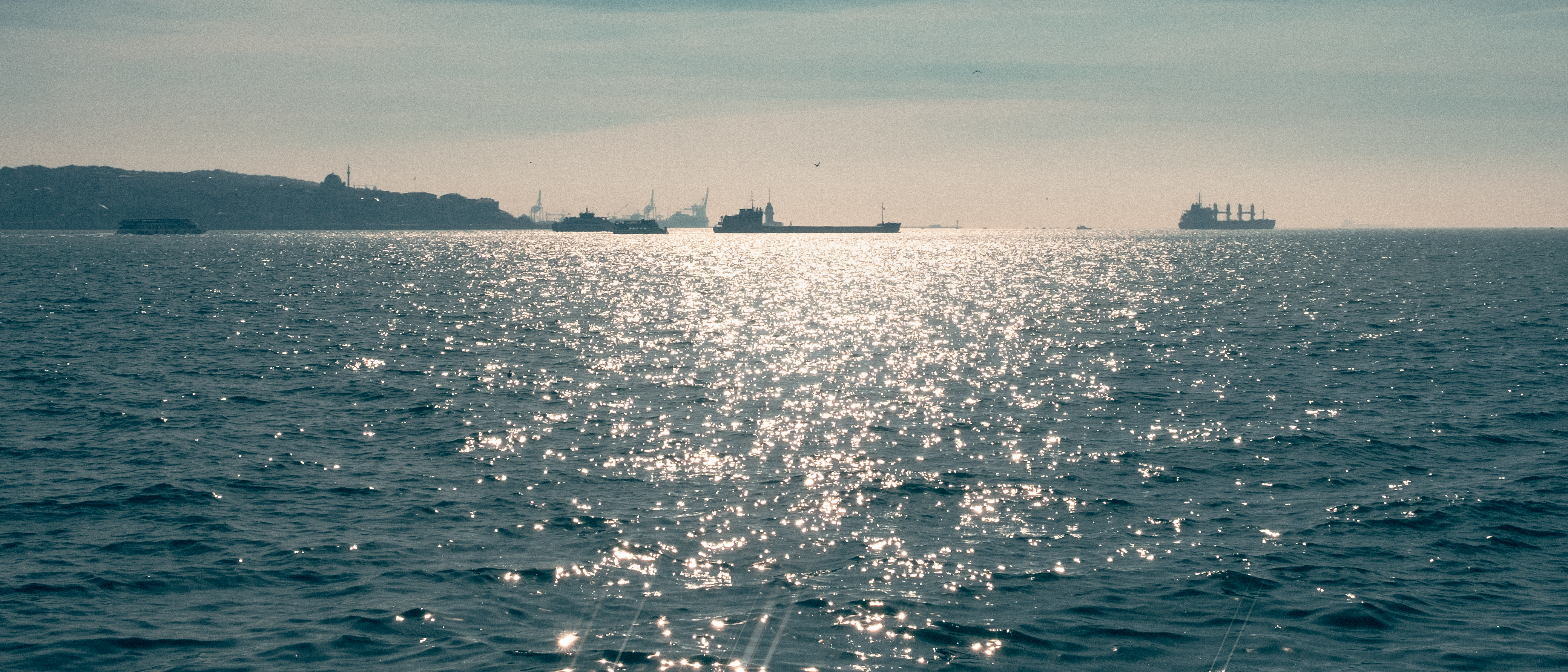 Photo by plasticlines