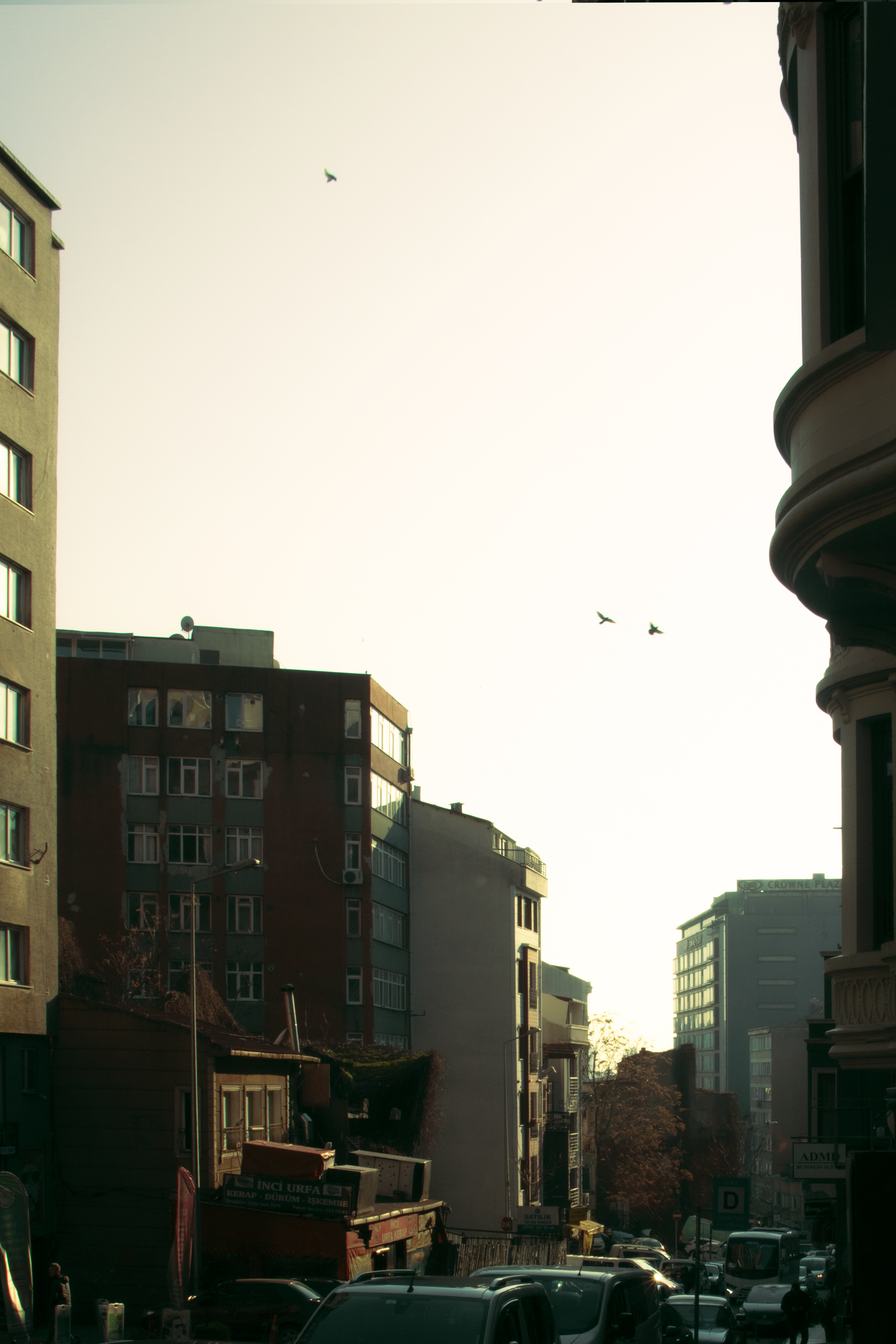 Photo by plasticlines