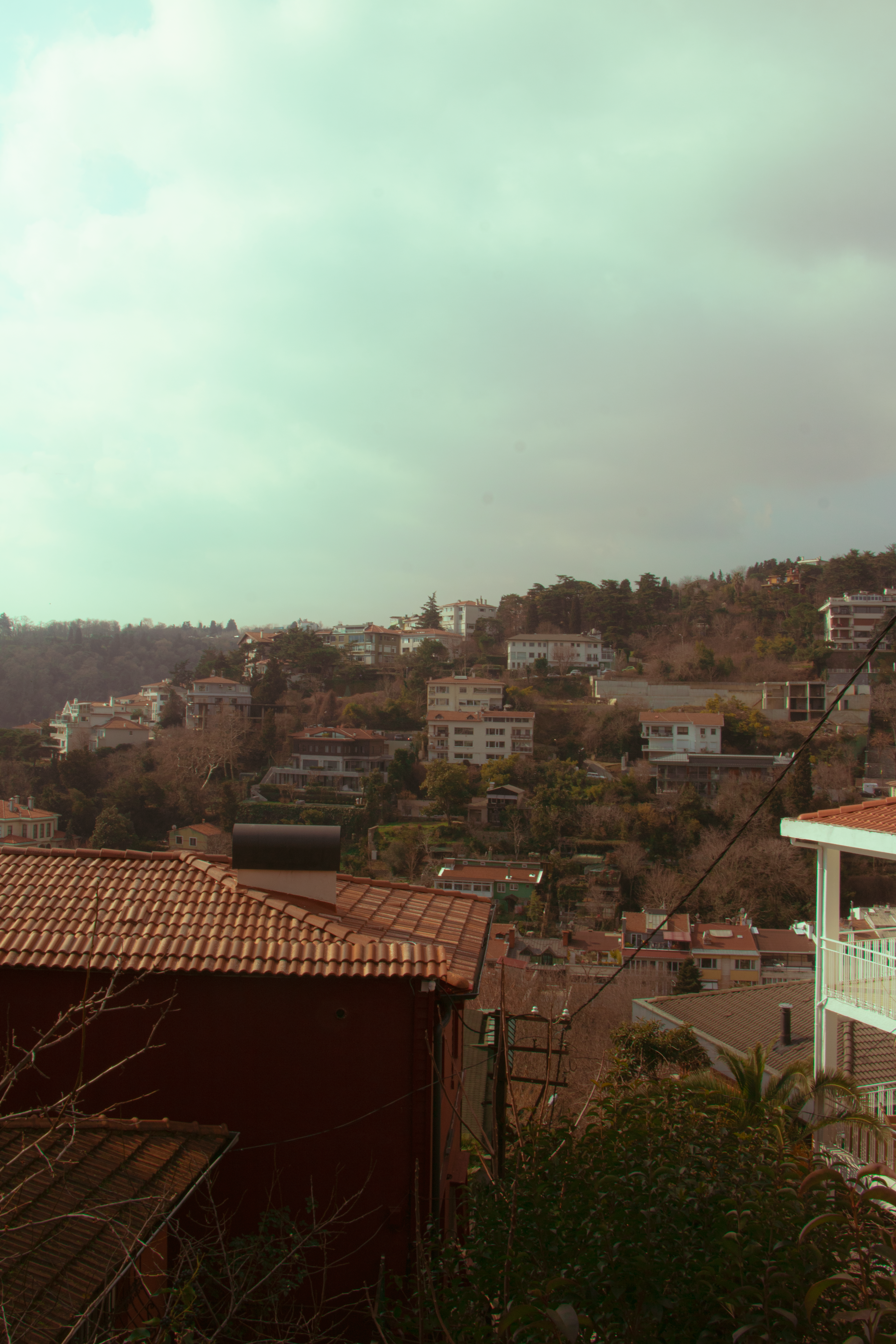 Photo by plasticlines