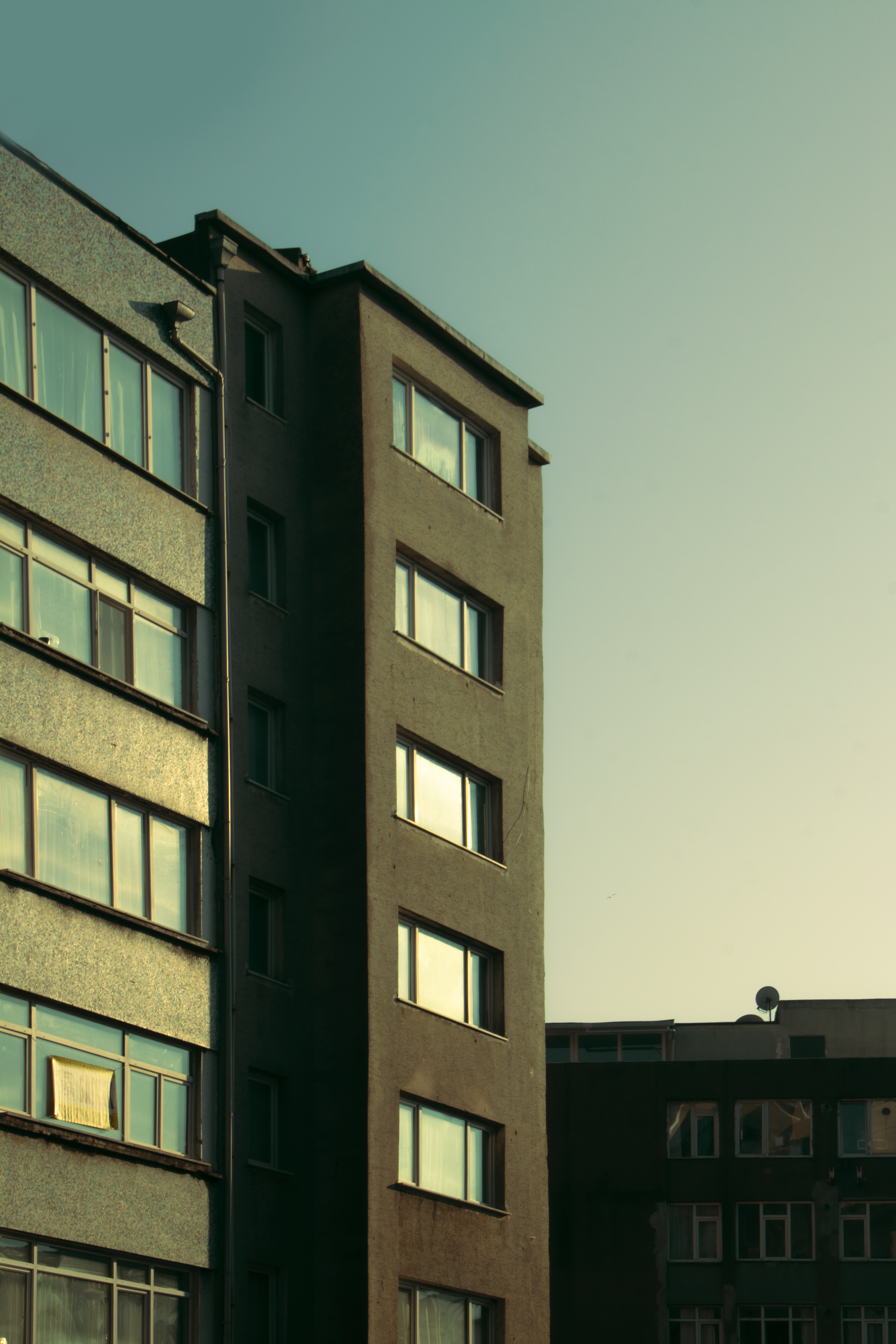 Photo by plasticlines