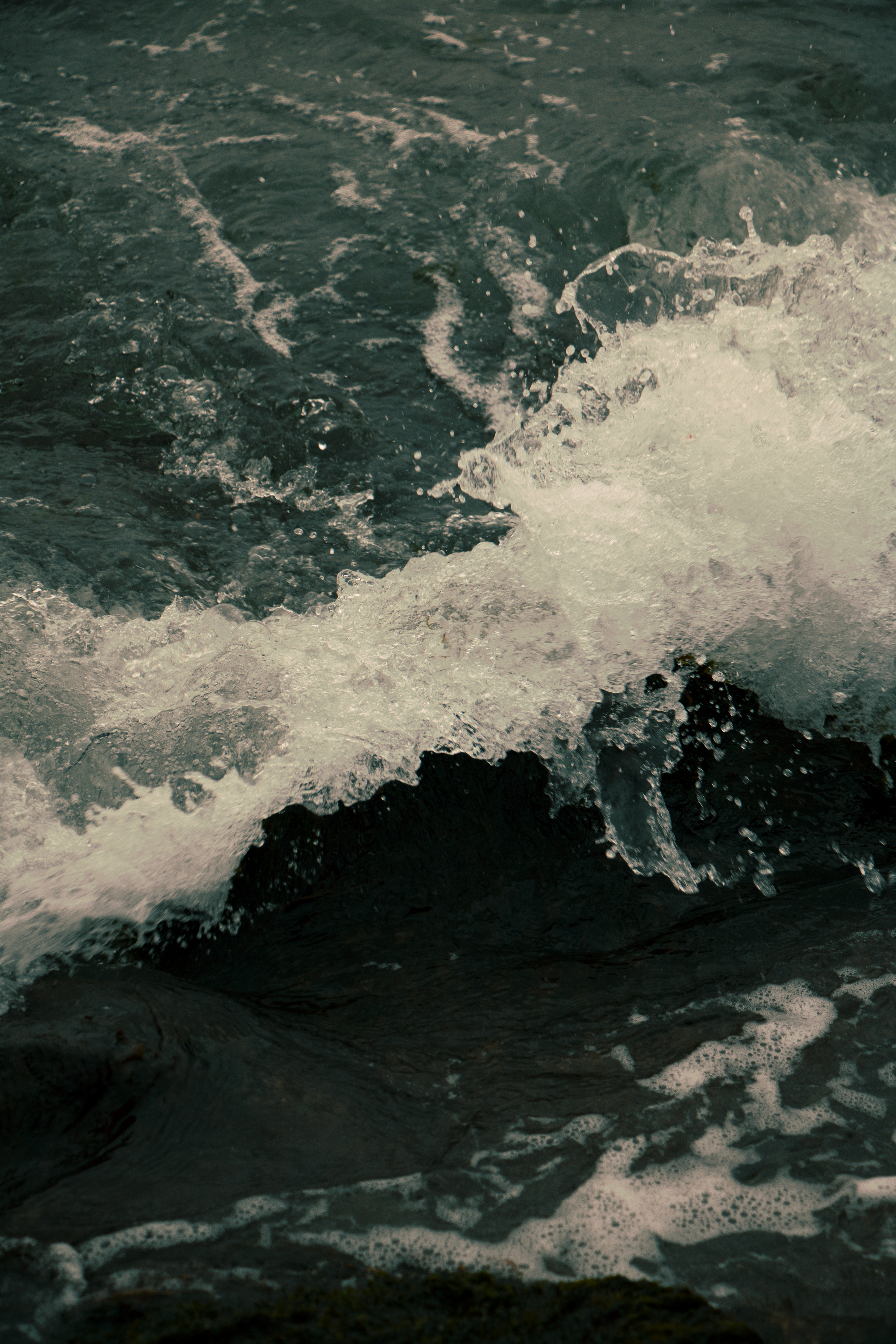 Photo by plasticlines