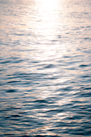 Calm nature scene with soft sunlight, evoking peace and reflection.