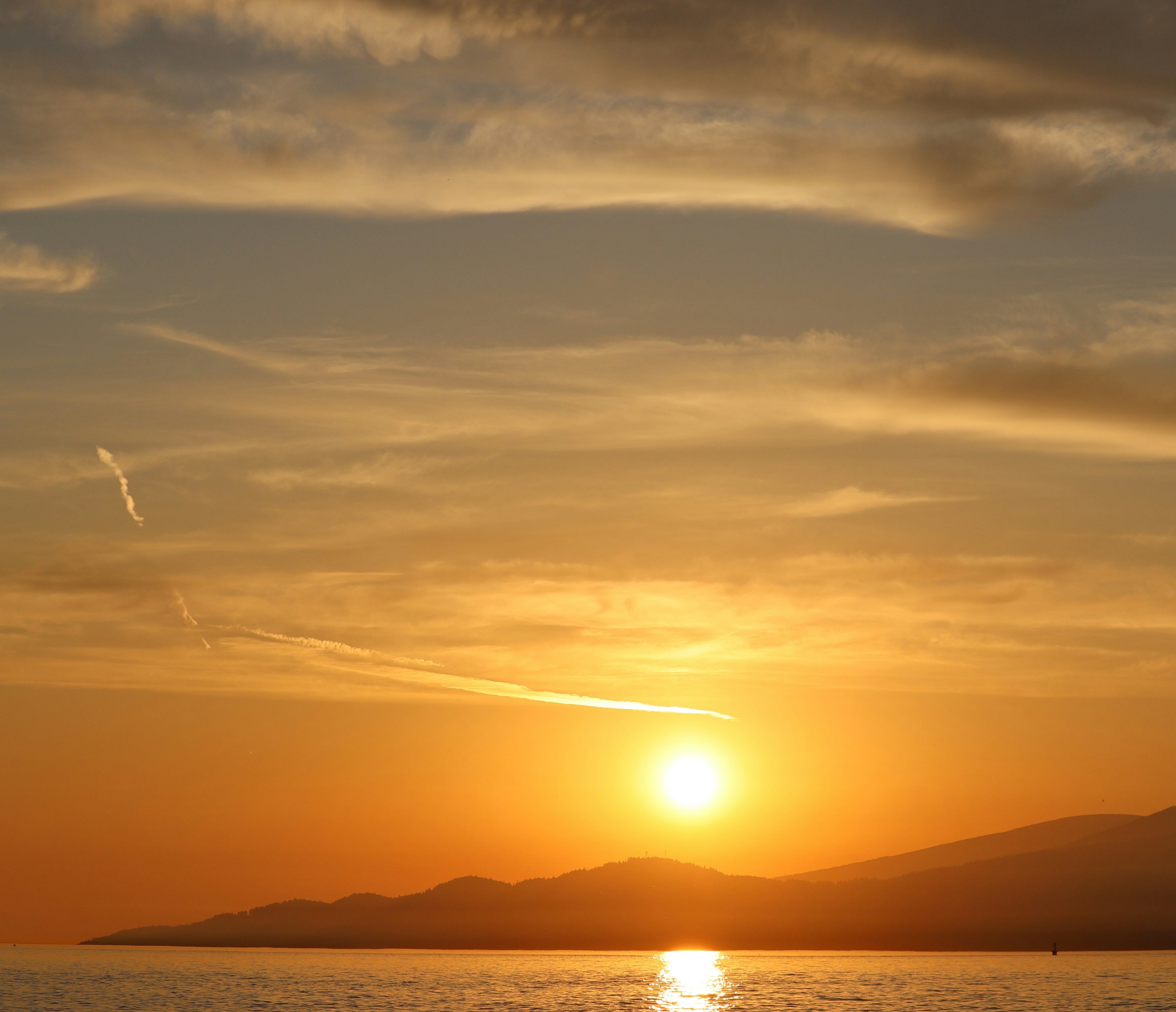 Photo by rozleblanc38