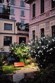 A clean, organized shared courtyard with benches and potted plants under soft daylight.