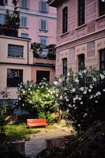A cozy courtyard in the Torena Nami community with blooming flowers and benches.