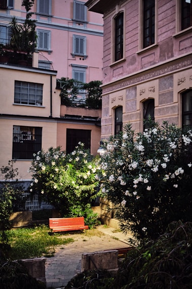 A cozy courtyard in the Torena Nami community with blooming flowers and benches.