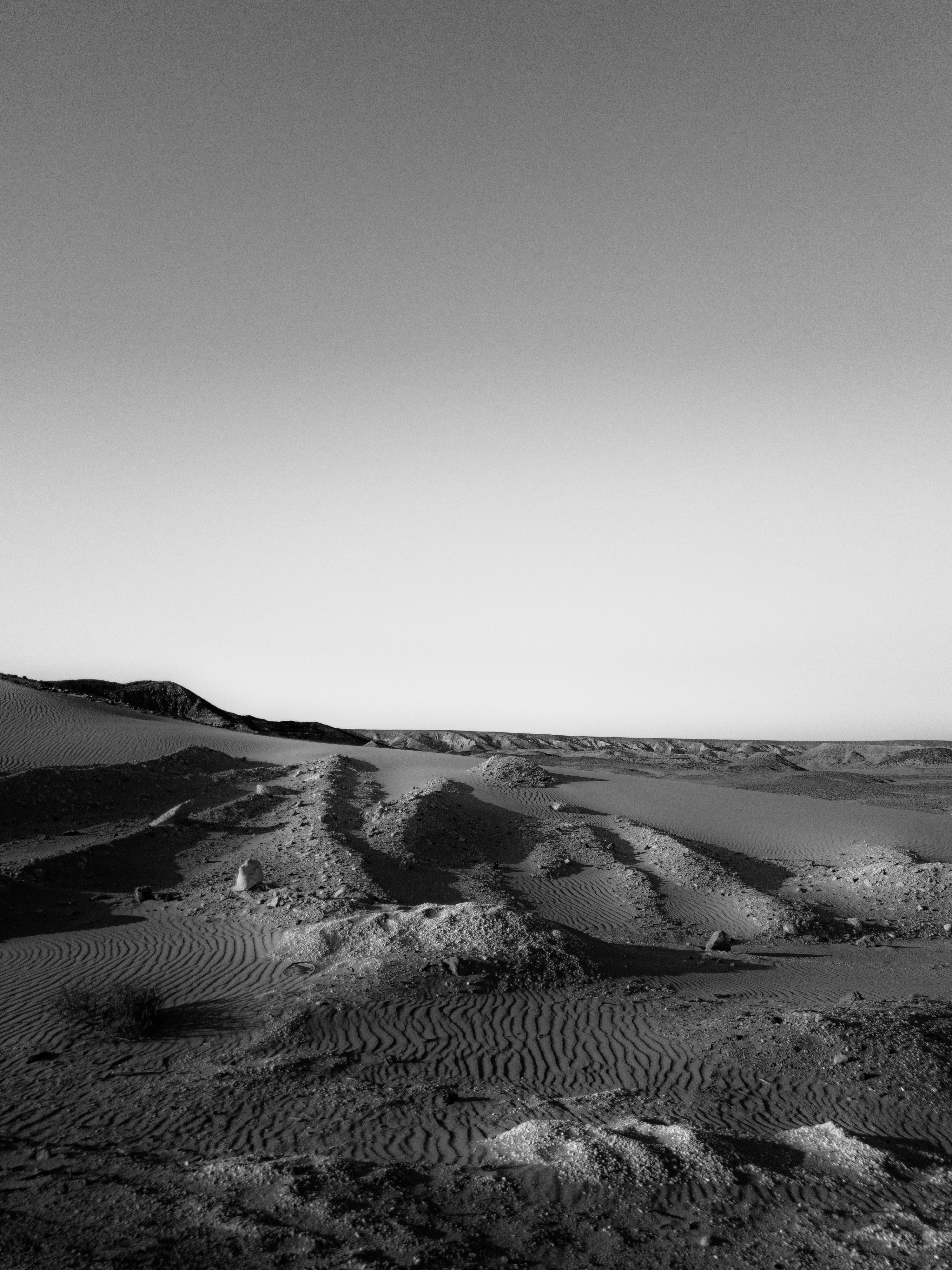 Photo by plasticlines