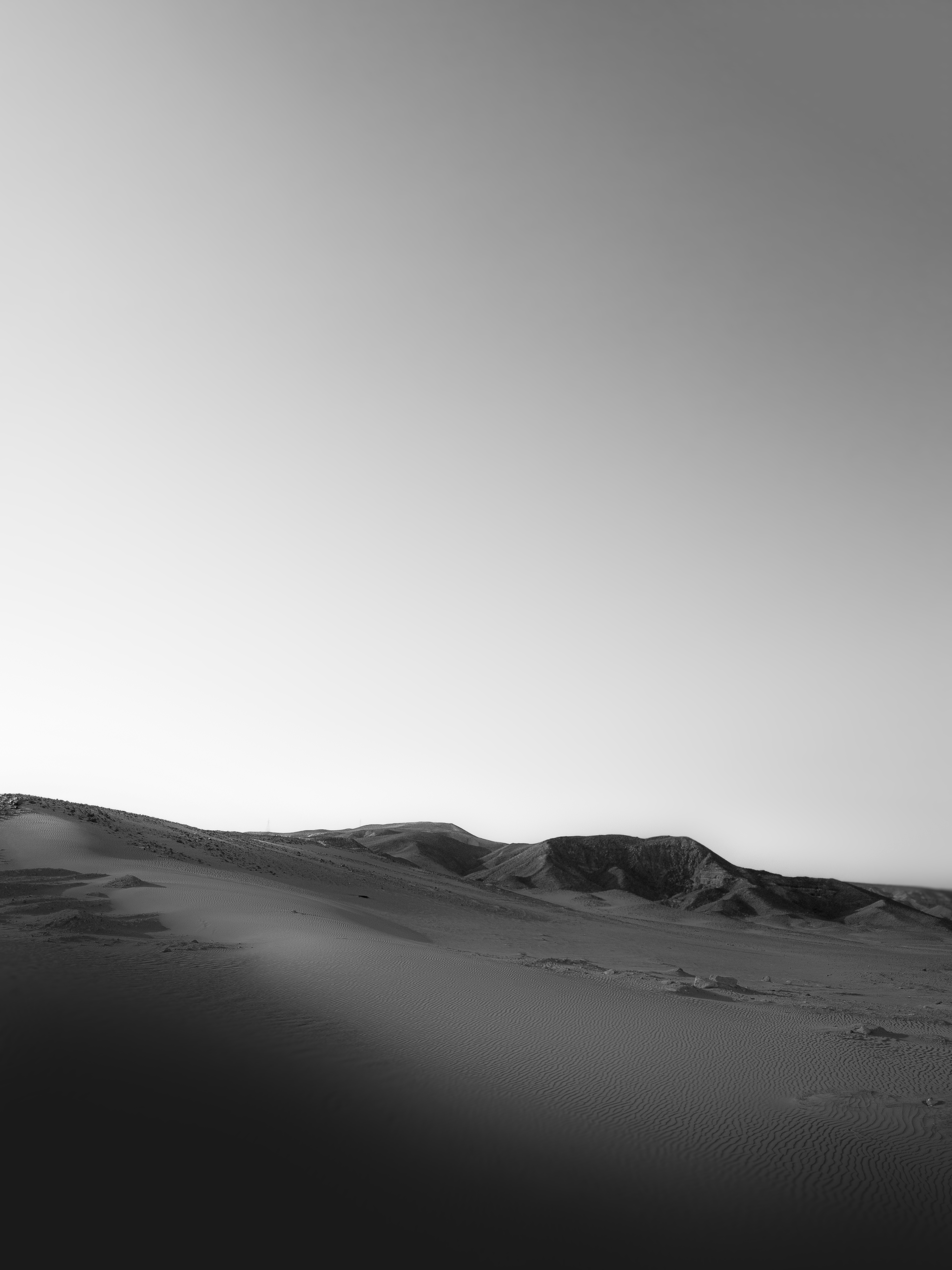 Photo by plasticlines