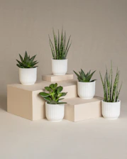 a set of four white planters sitting on top of each other