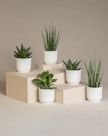 a set of four white planters sitting on top of each other