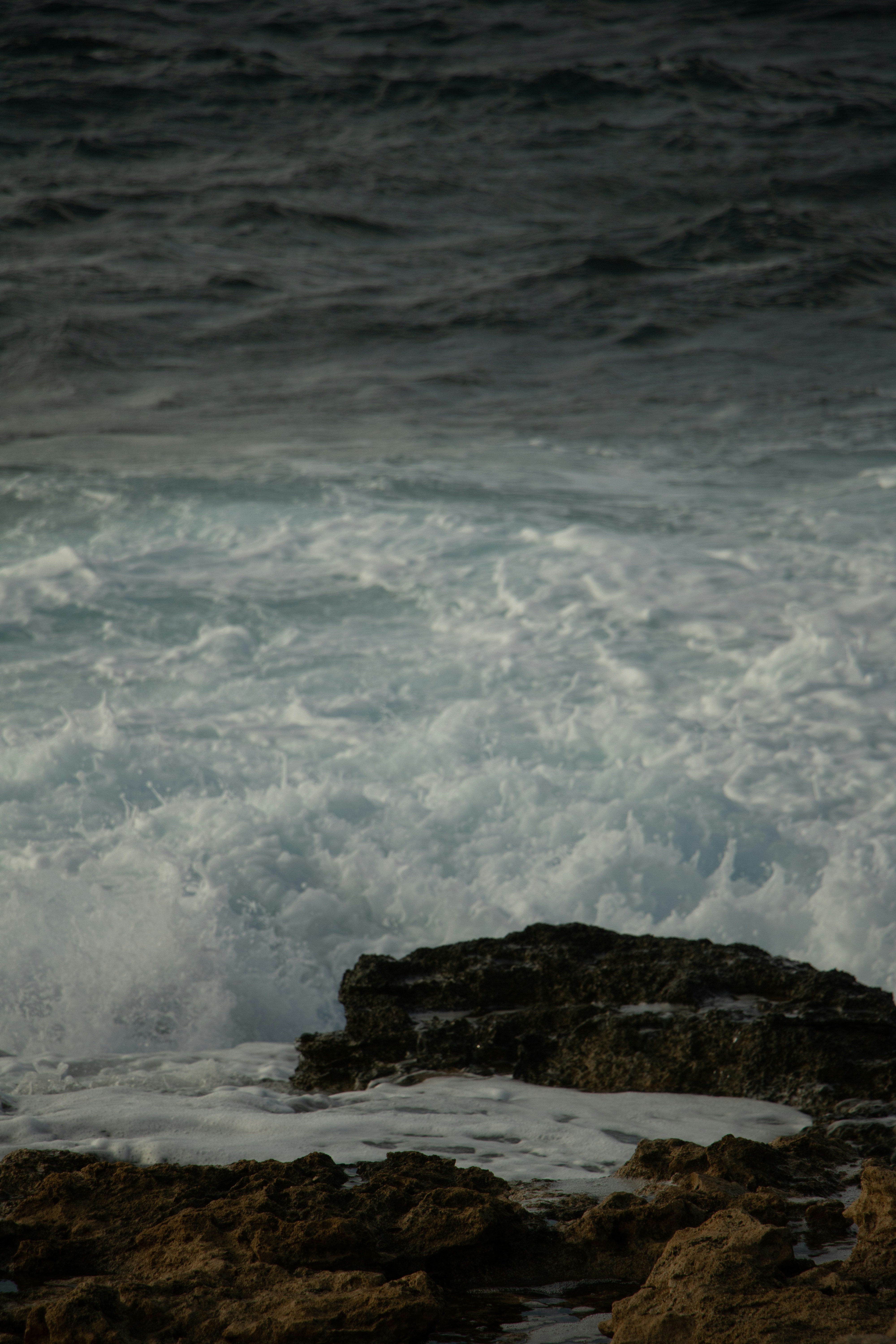 Photo by plasticlines