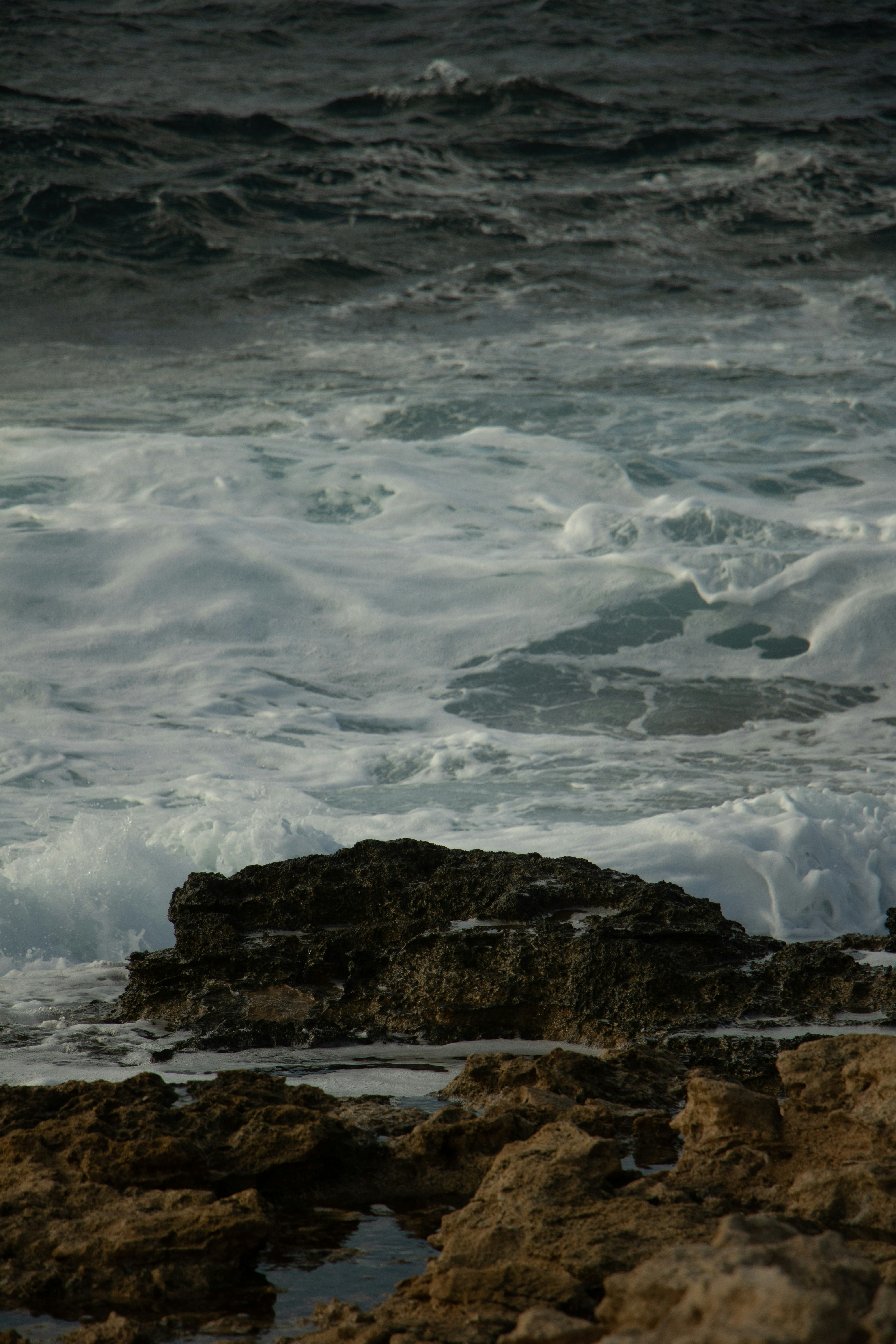 Photo by plasticlines