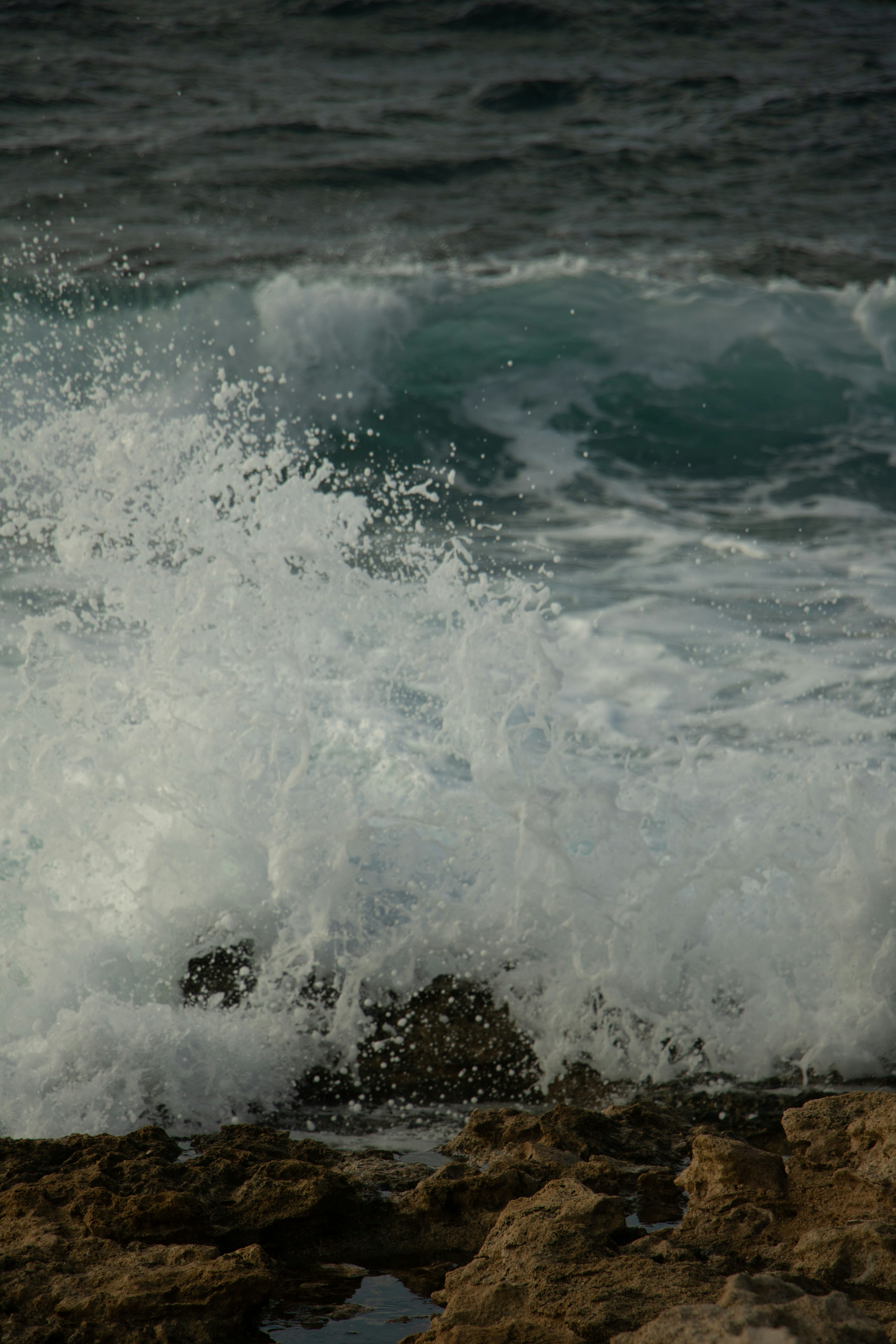 Photo by plasticlines