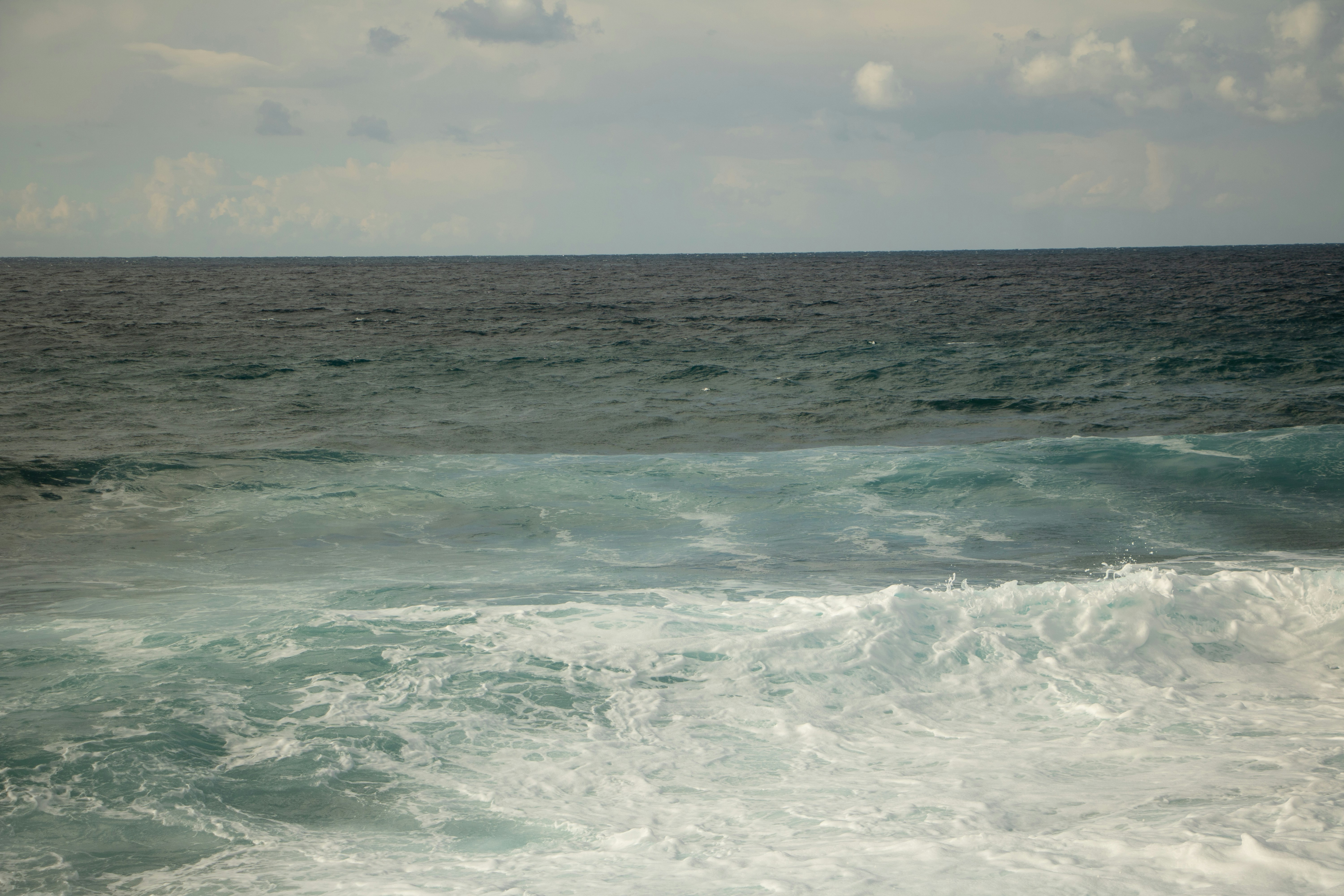 Photo by plasticlines