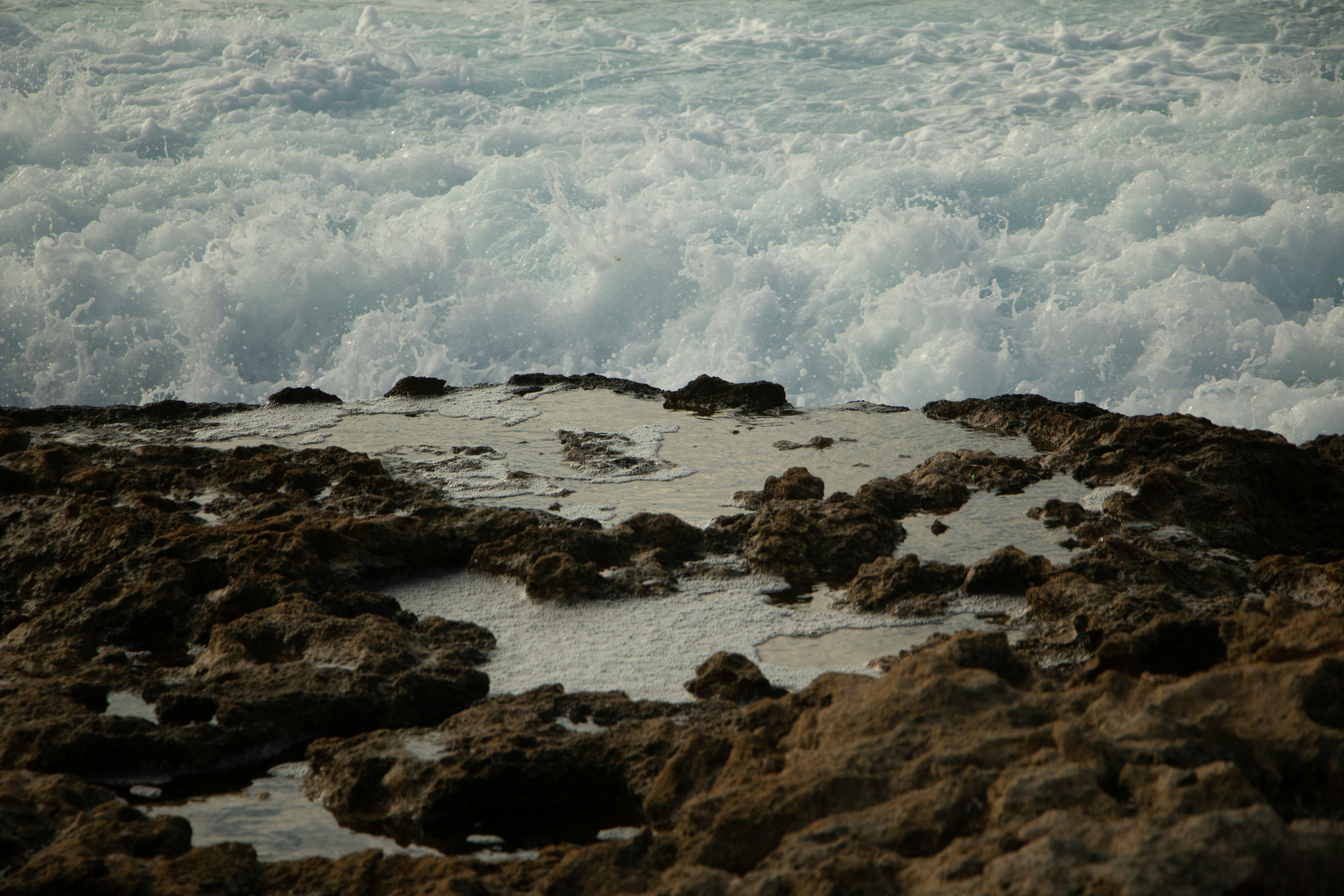 Photo by plasticlines