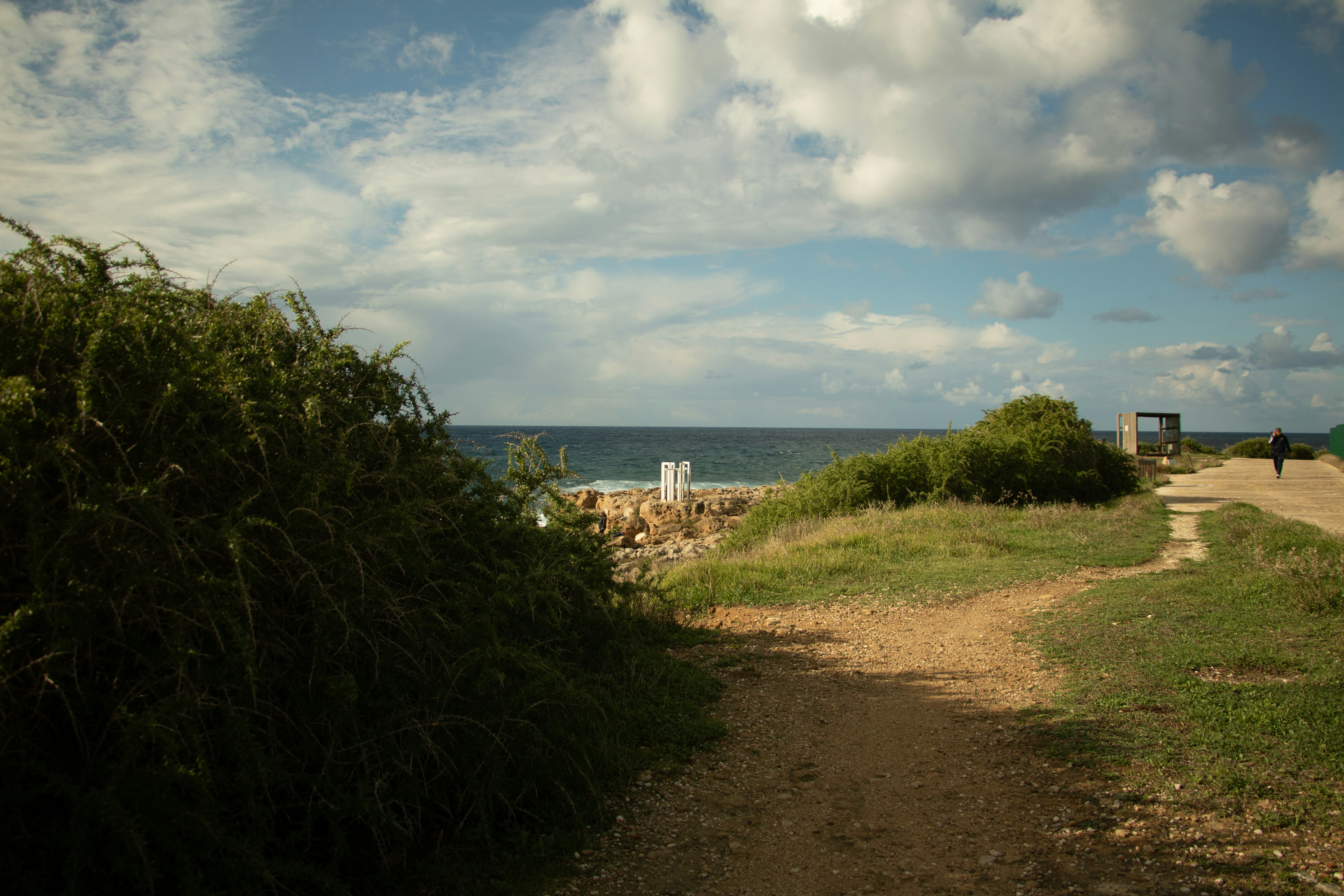 Photo by plasticlines