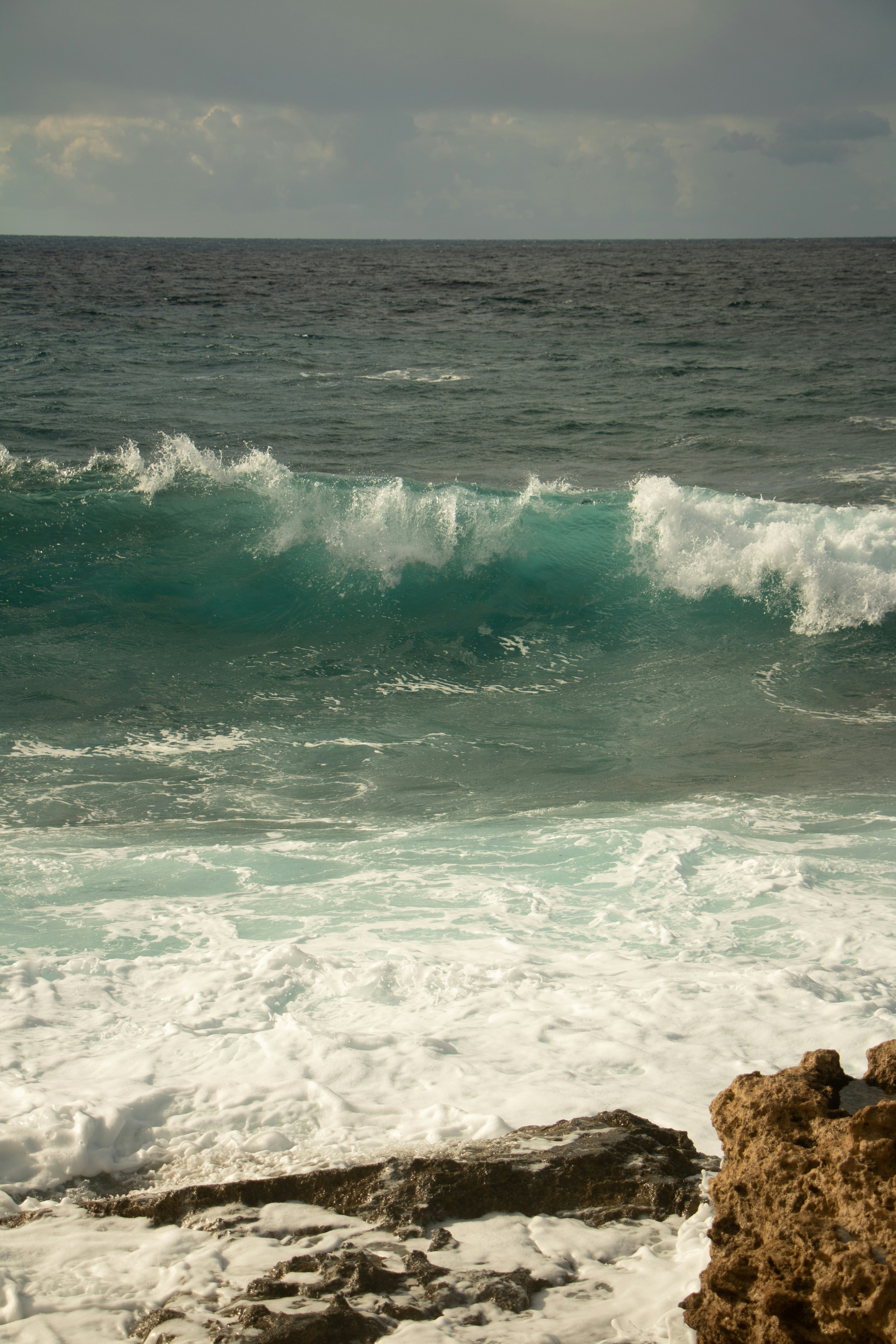 Photo by plasticlines