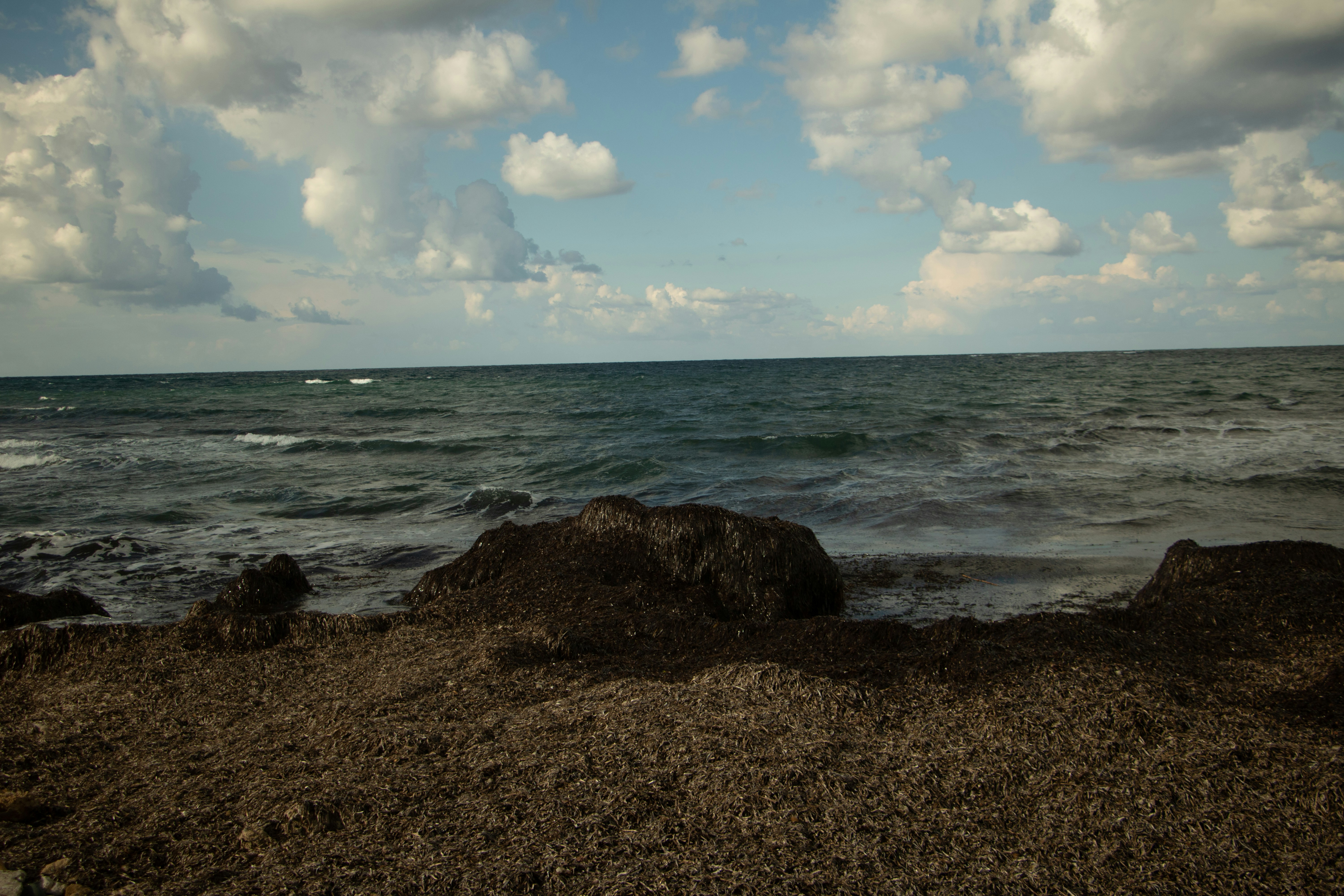 Photo by plasticlines
