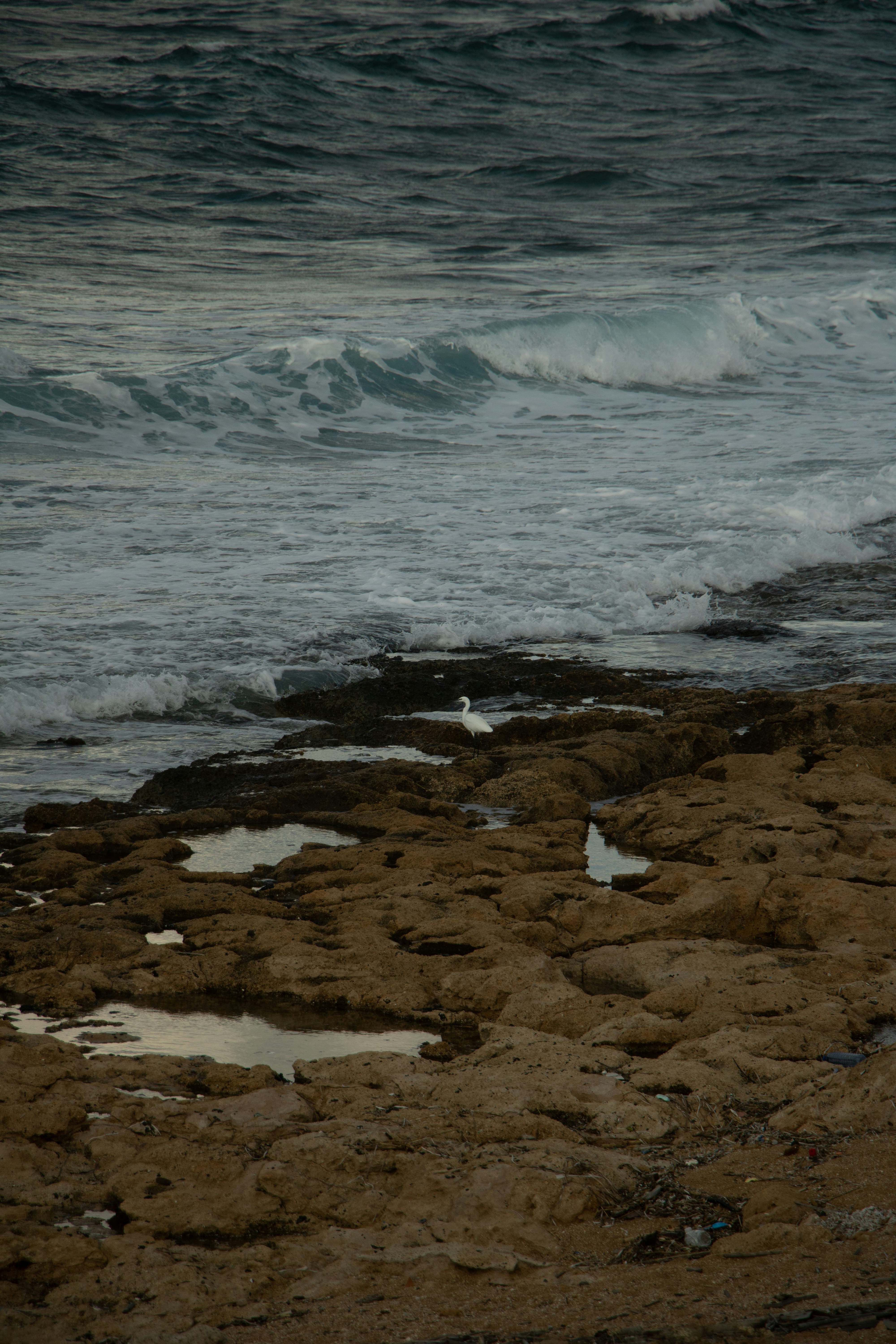 Photo by plasticlines