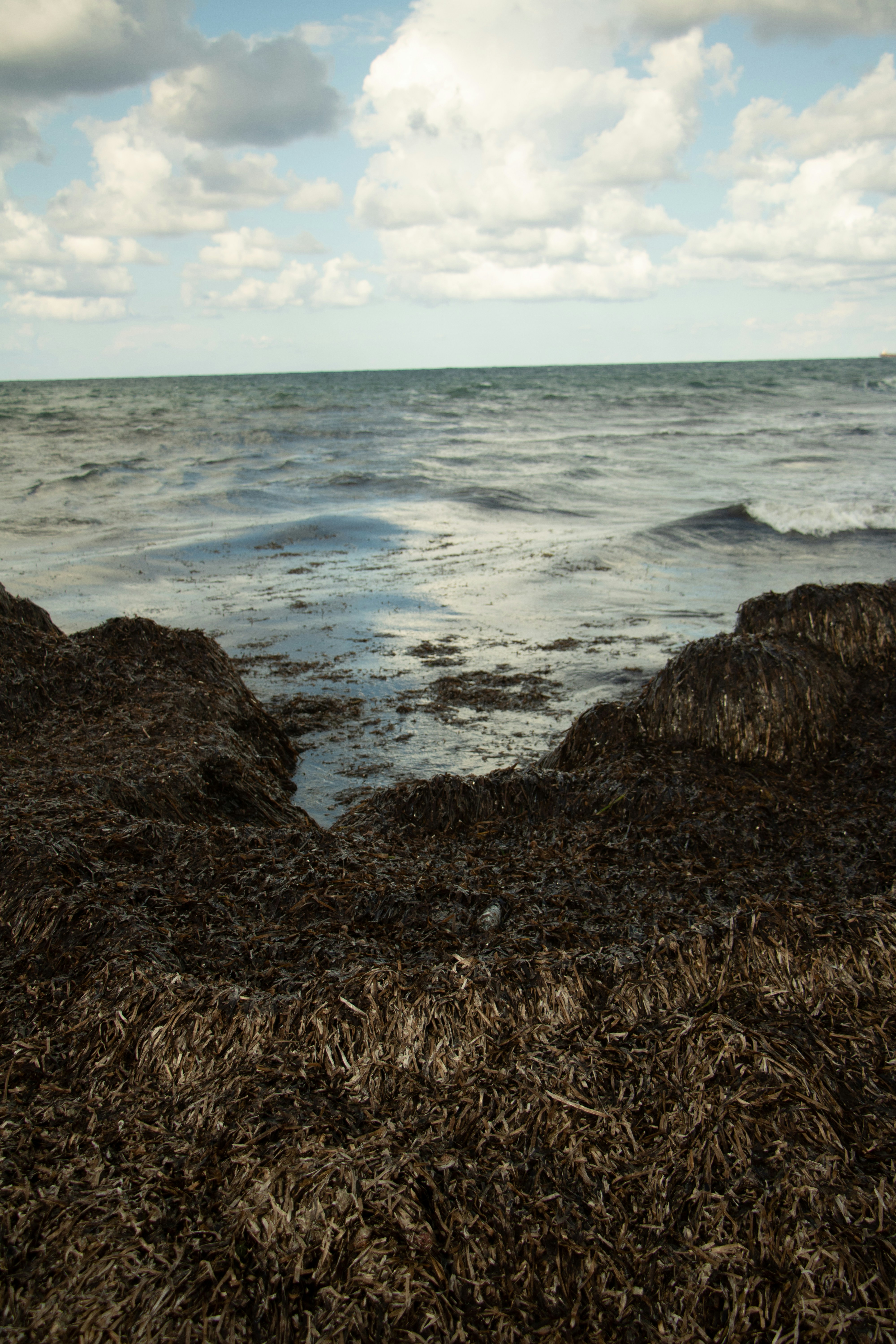 Photo by plasticlines