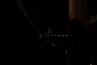 A dimly lit crawlspace showing damp wooden beams and a small puddle of water on the ground.